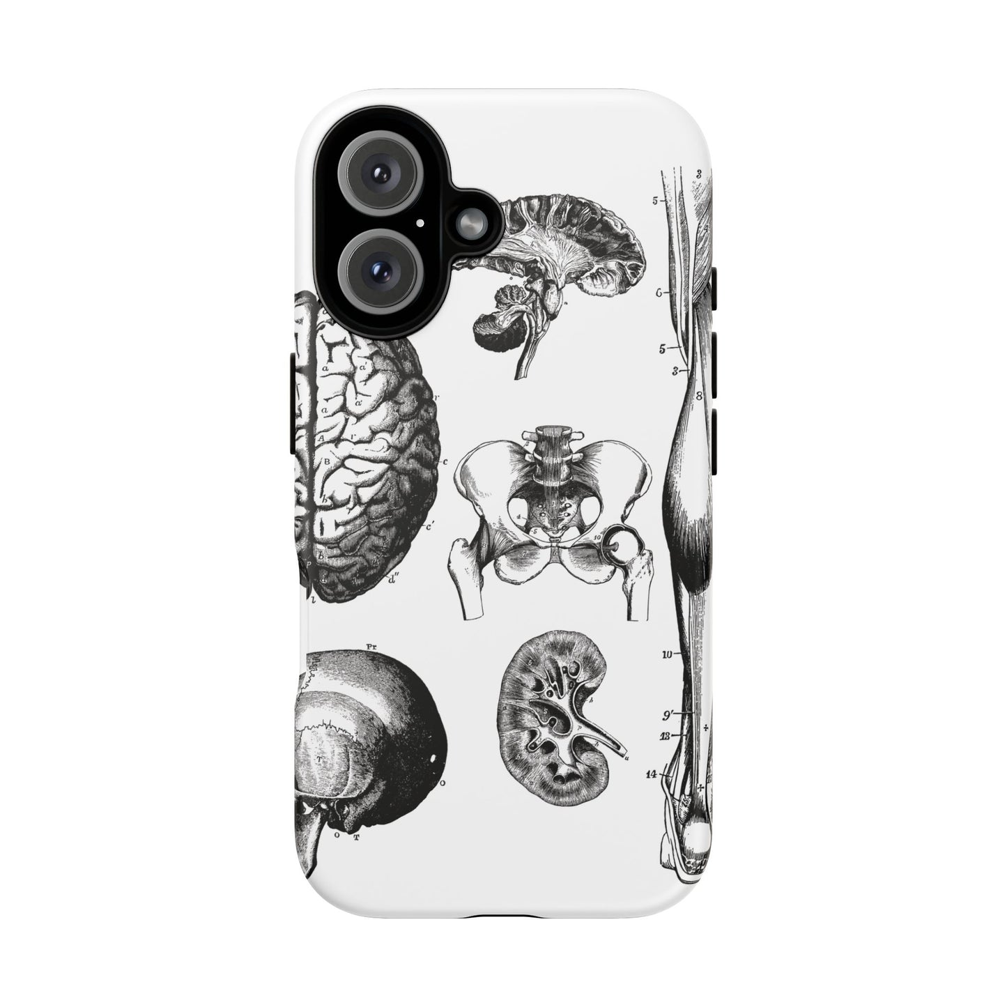 Vintage Anatomy Phone Case - Medical Sketch Design - Custom iPhone, Samsung & Pixel Cover - Science Gift - Doctor Aesthetic - Anatomy case