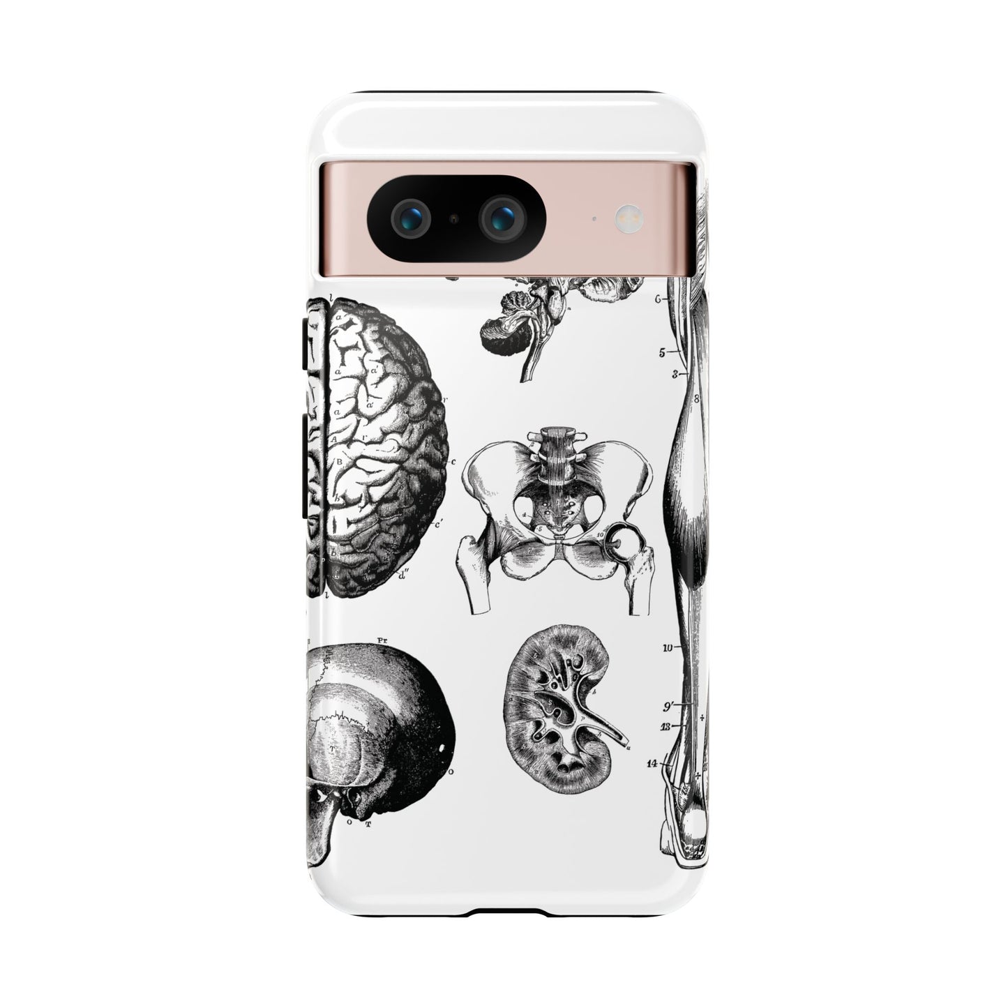 Vintage Anatomy Phone Case - Medical Sketch Design - Custom iPhone, Samsung & Pixel Cover - Science Gift - Doctor Aesthetic - Anatomy case