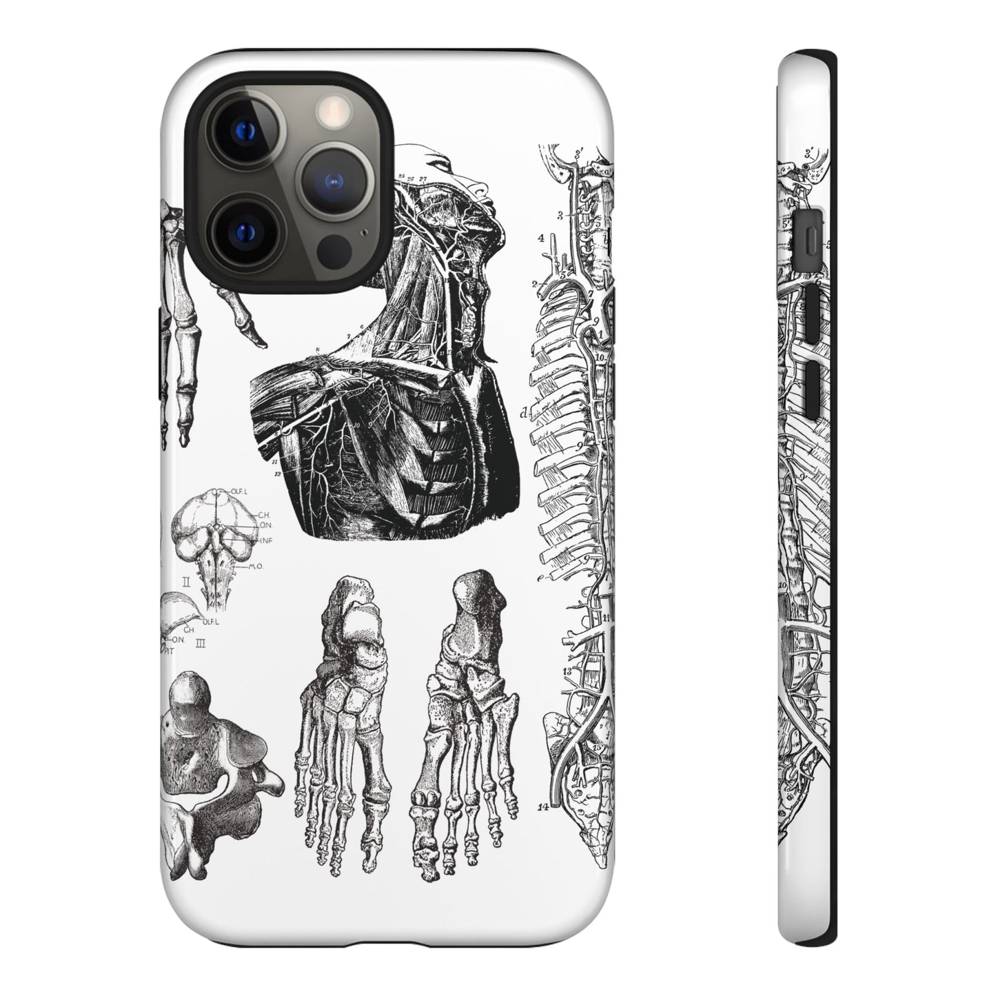 Vintage Anatomy Phone Case - Medical Illustration Design - Custom iPhone, Samsung & Pixel Cover - Science Gift - Doctor Aesthetic - Anatomy