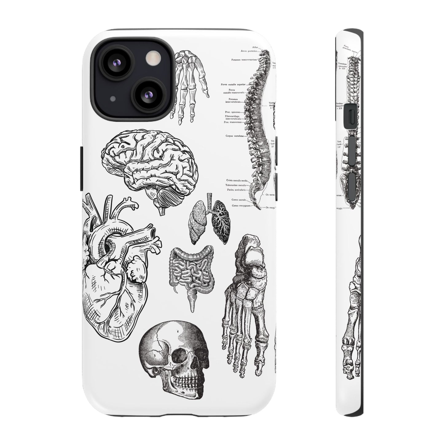 Anatomical Phone Case - Vintage Medical Illustration Case - Science Gift - Custom Medical Phone Cover - Custom Phone Cover - Medical Student