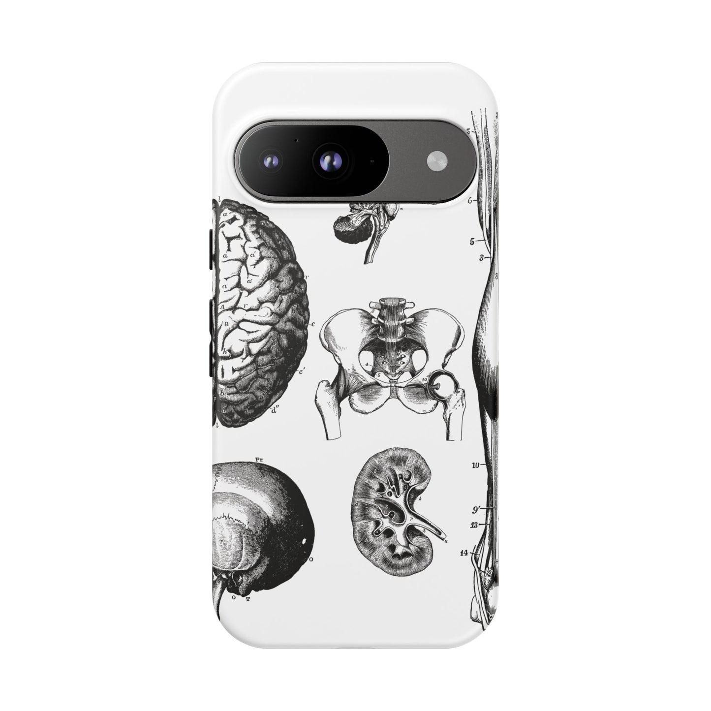 Vintage Anatomy Phone Case - Medical Sketch Design - Custom iPhone, Samsung & Pixel Cover - Science Gift - Doctor Aesthetic - Anatomy case