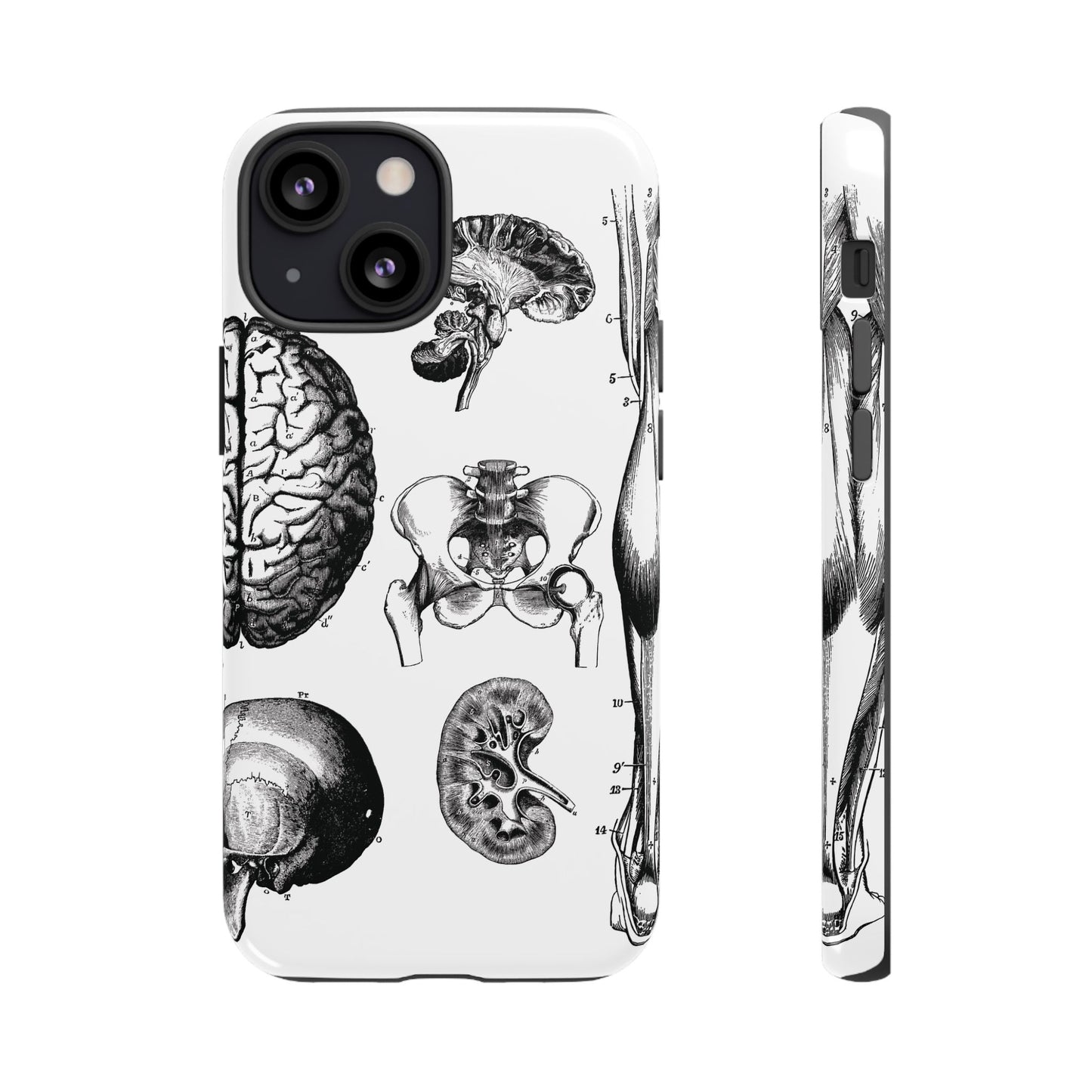 Vintage Anatomy Phone Case - Medical Sketch Design - Custom iPhone, Samsung & Pixel Cover - Science Gift - Doctor Aesthetic - Anatomy case