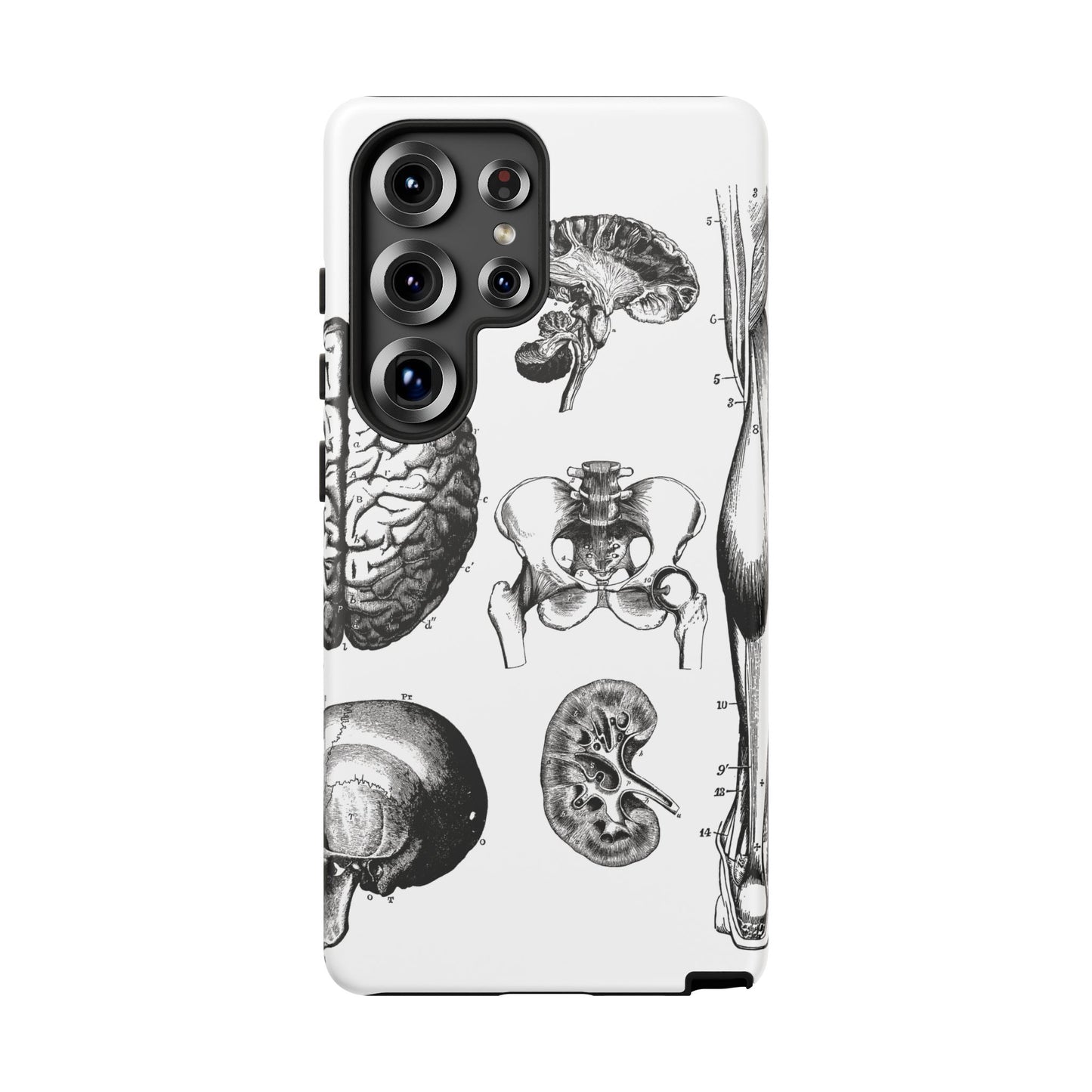 Vintage Anatomy Phone Case - Medical Sketch Design - Custom iPhone, Samsung & Pixel Cover - Science Gift - Doctor Aesthetic - Anatomy case