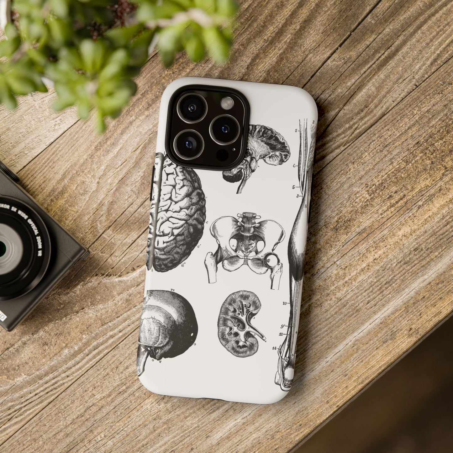 Vintage Anatomy Phone Case - Medical Sketch Design - Custom iPhone, Samsung & Pixel Cover - Science Gift - Doctor Aesthetic - Anatomy case