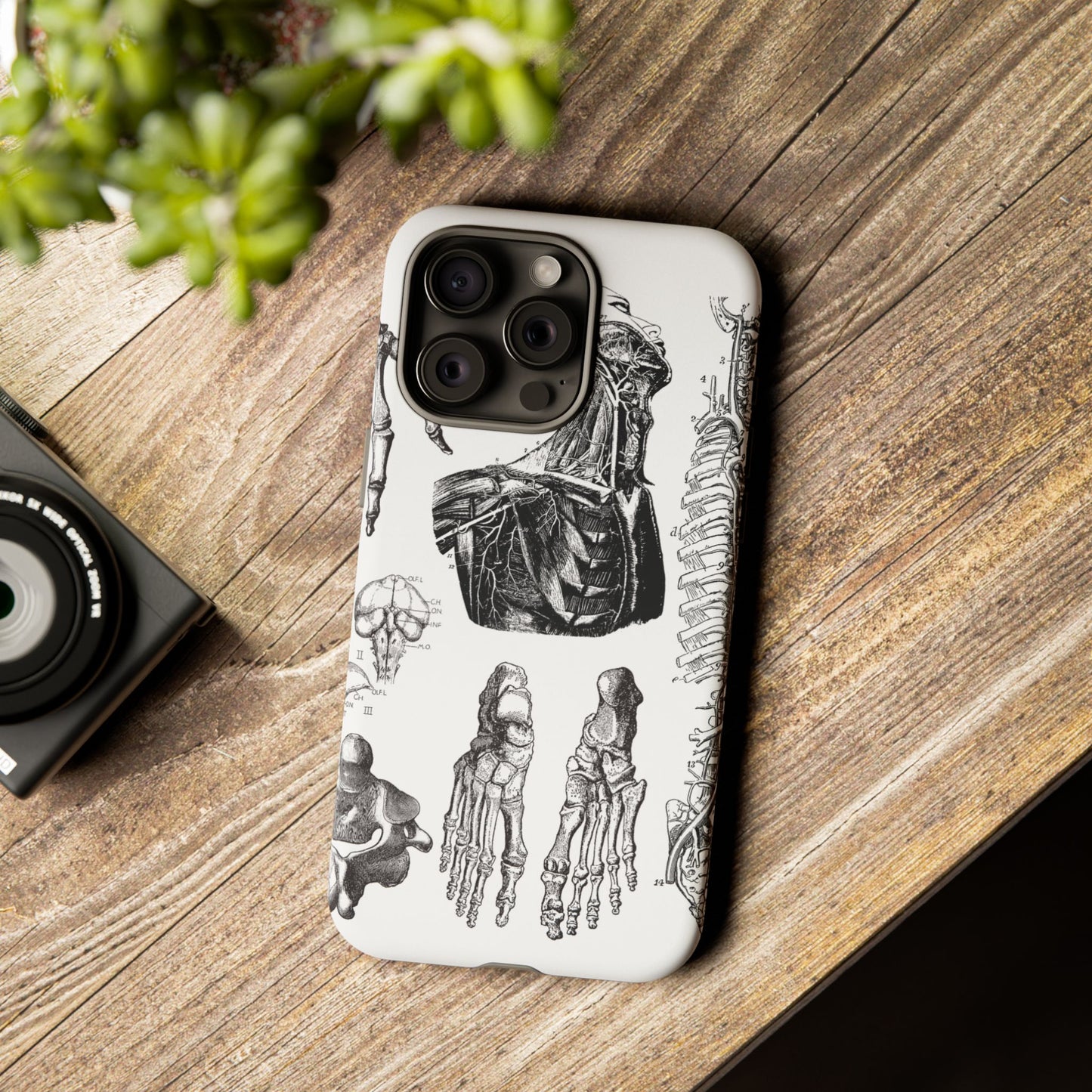 Vintage Anatomy Phone Case - Medical Illustration Design - Custom iPhone, Samsung & Pixel Cover - Science Gift - Doctor Aesthetic - Anatomy