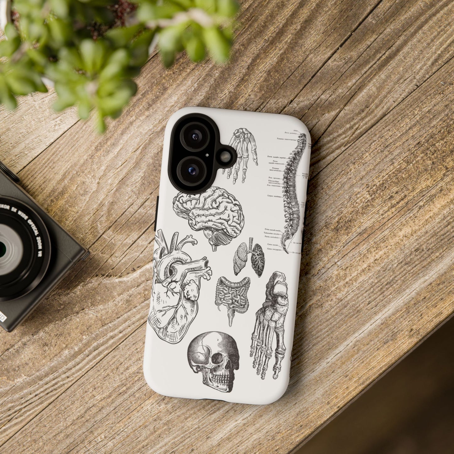 Anatomical Phone Case - Vintage Medical Illustration Case - Science Gift - Custom Medical Phone Cover - Custom Phone Cover - Medical Student
