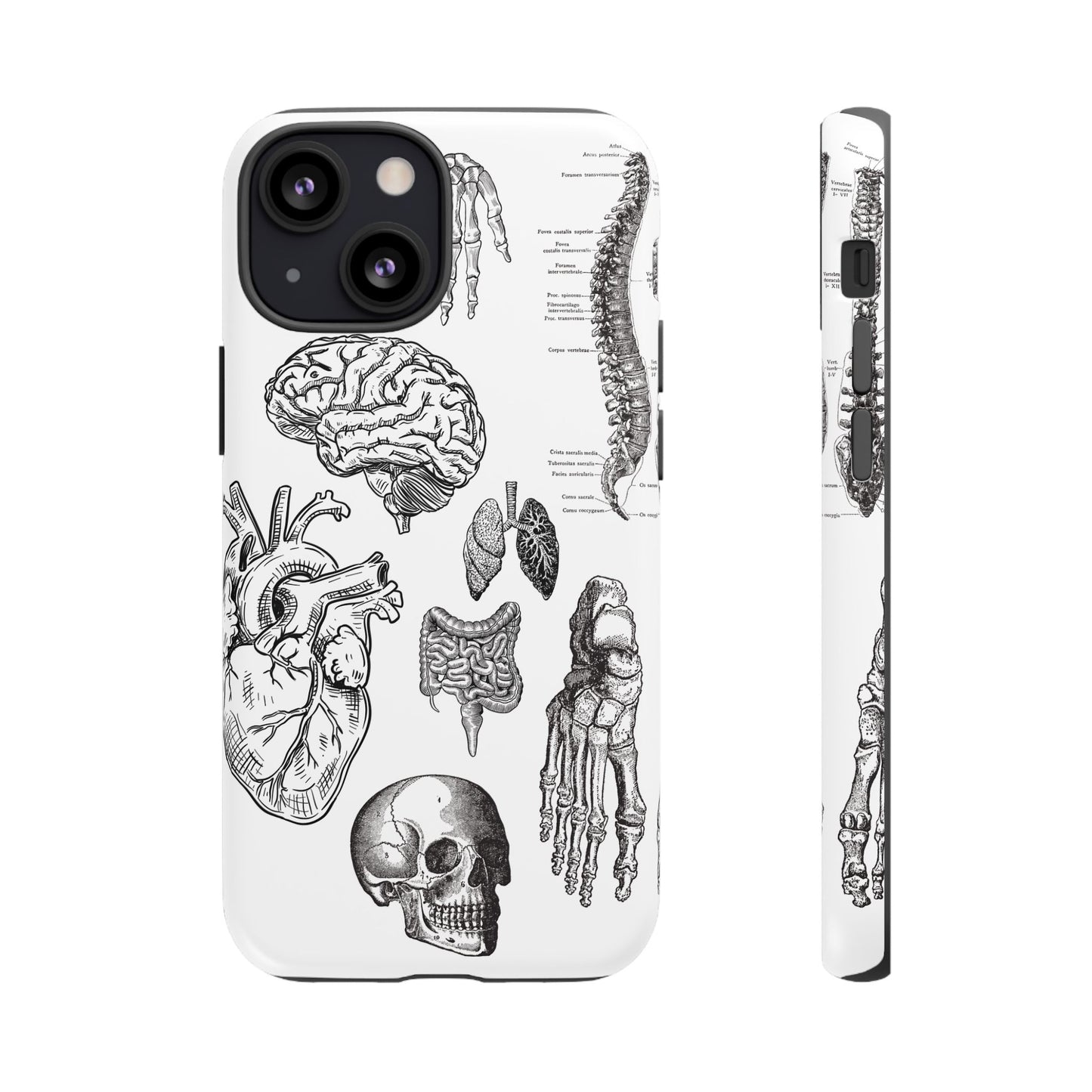 Anatomical Phone Case - Vintage Medical Illustration Case - Science Gift - Custom Medical Phone Cover - Custom Phone Cover - Medical Student