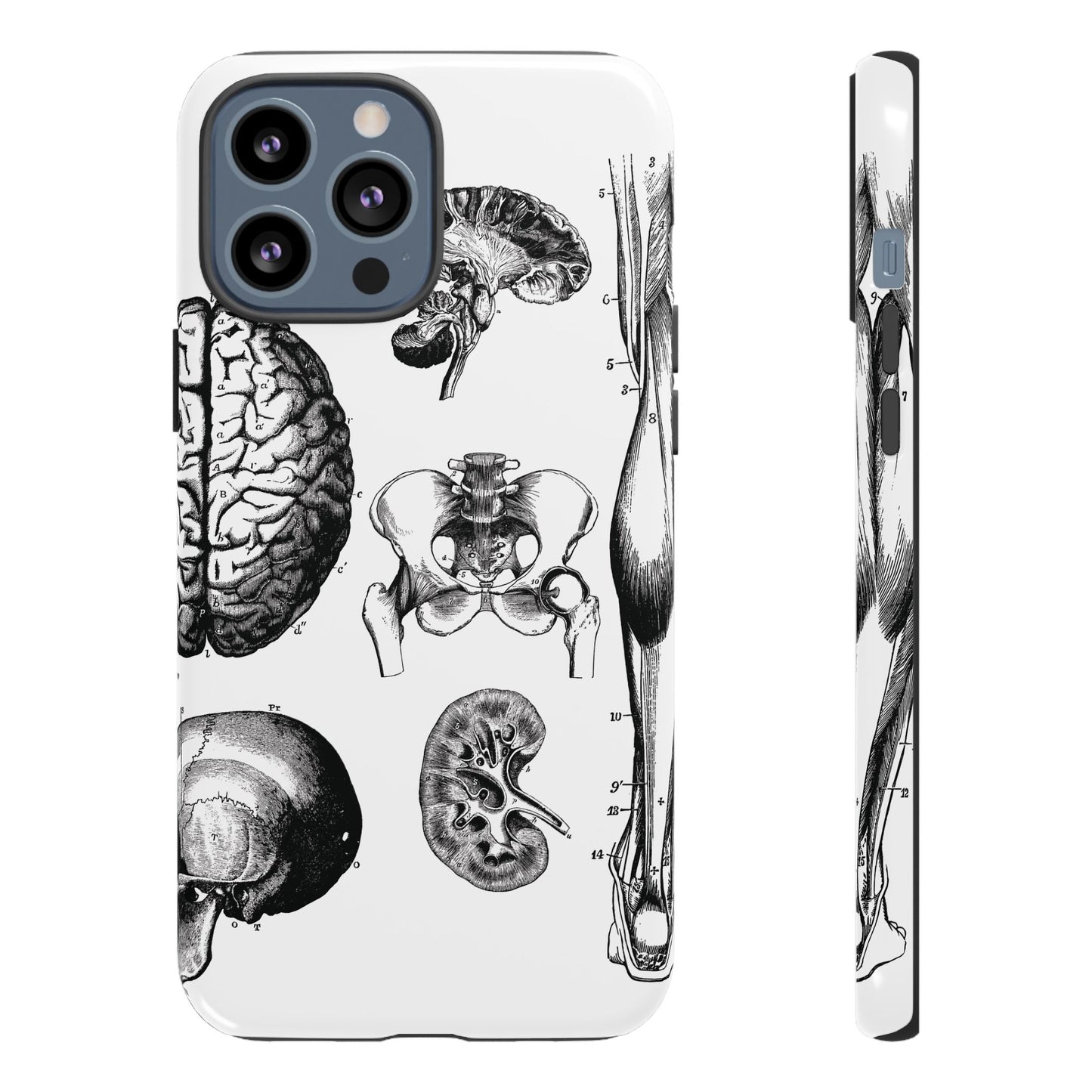 Vintage Anatomy Phone Case - Medical Sketch Design - Custom iPhone, Samsung & Pixel Cover - Science Gift - Doctor Aesthetic - Anatomy case