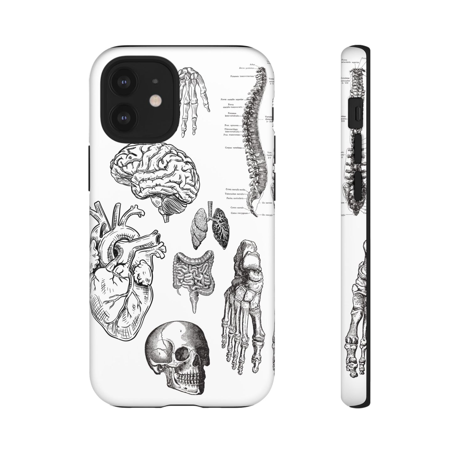 Anatomical Phone Case - Vintage Medical Illustration Case - Science Gift - Custom Medical Phone Cover - Custom Phone Cover - Medical Student