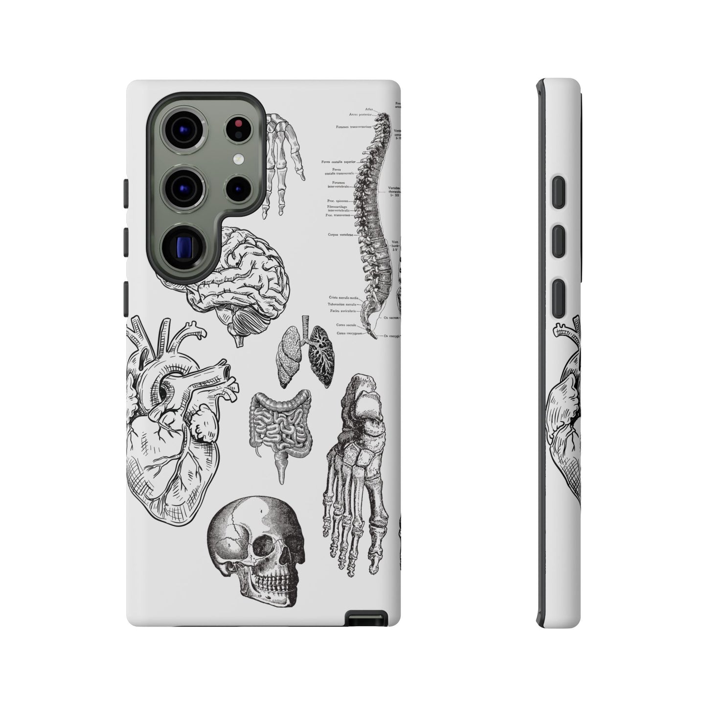 Anatomical Phone Case - Vintage Medical Illustration Case - Science Gift - Custom Medical Phone Cover - Custom Phone Cover - Medical Student