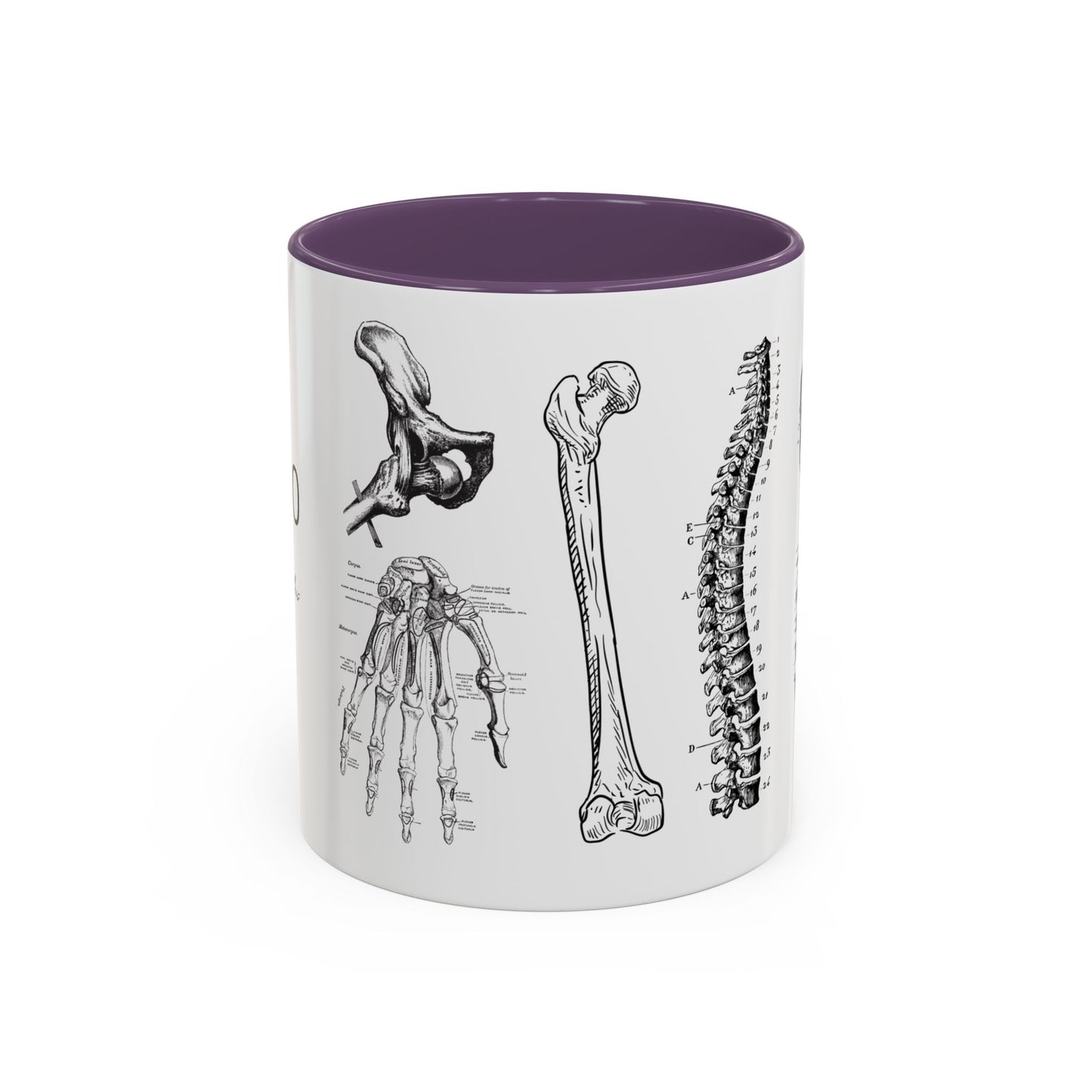 Orthopedic Surgery Mug, Bone Anatomy Coffee Cup, Orthopedist Gift Idea, Medical Anatomy Mug, Doctor Appreciation, Healthcare Worker Gift