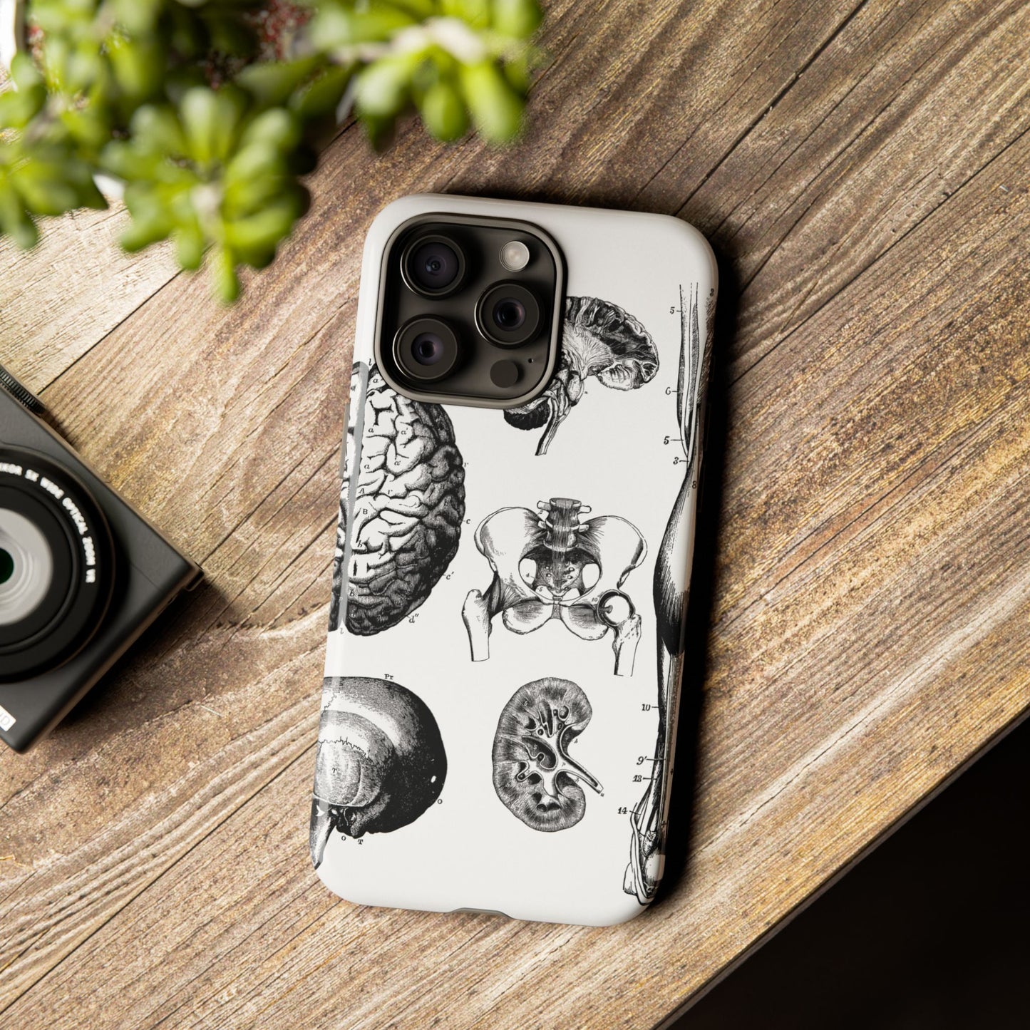 Vintage Anatomy Phone Case - Medical Sketch Design - Custom iPhone, Samsung & Pixel Cover - Science Gift - Doctor Aesthetic - Anatomy case