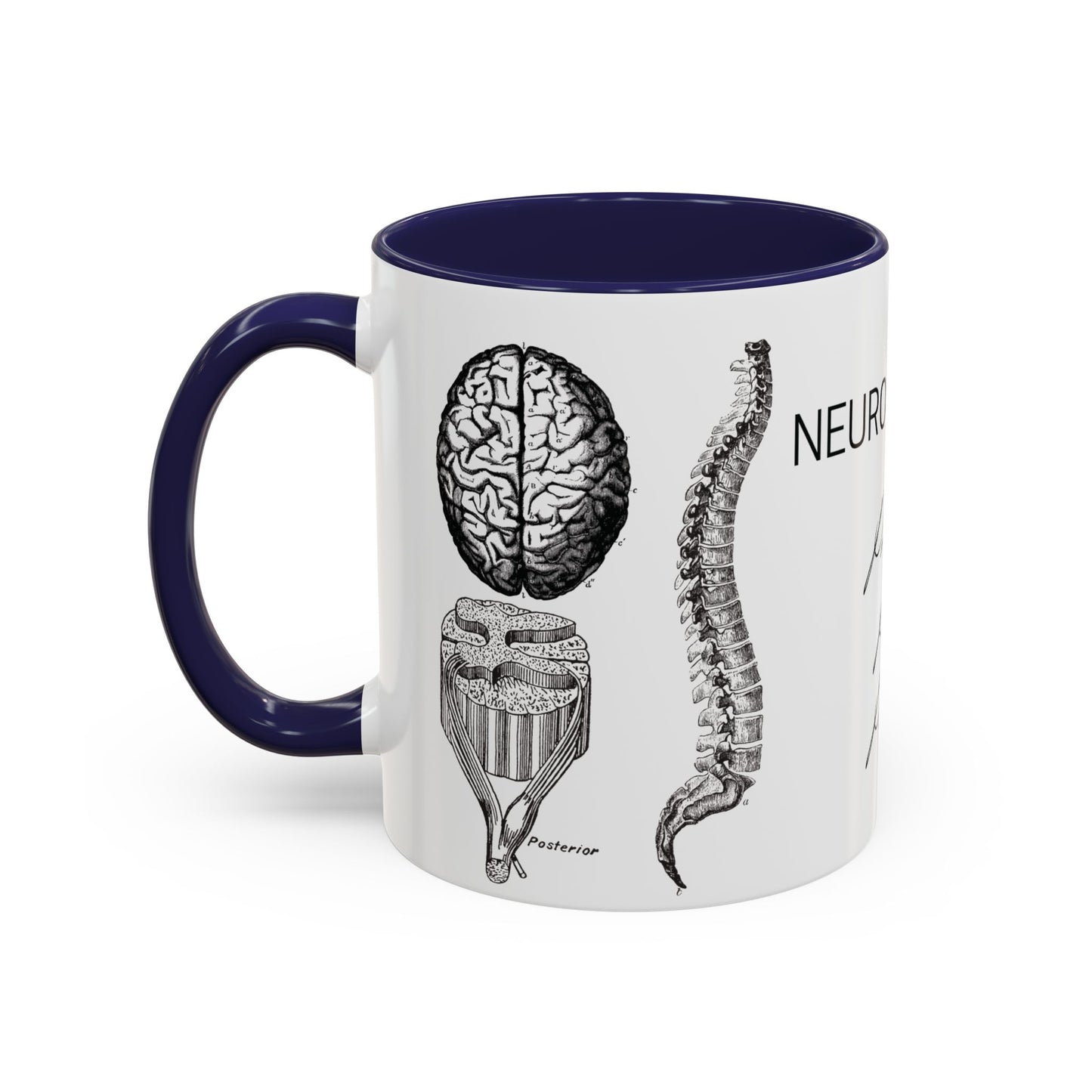 Neuro-Spine Mug, Anatomical Spine Illustration Cup, Neurosurgeon Gift Idea, Spine Surgery Mug, Doctor Appreciation, Medical Worker Gift
