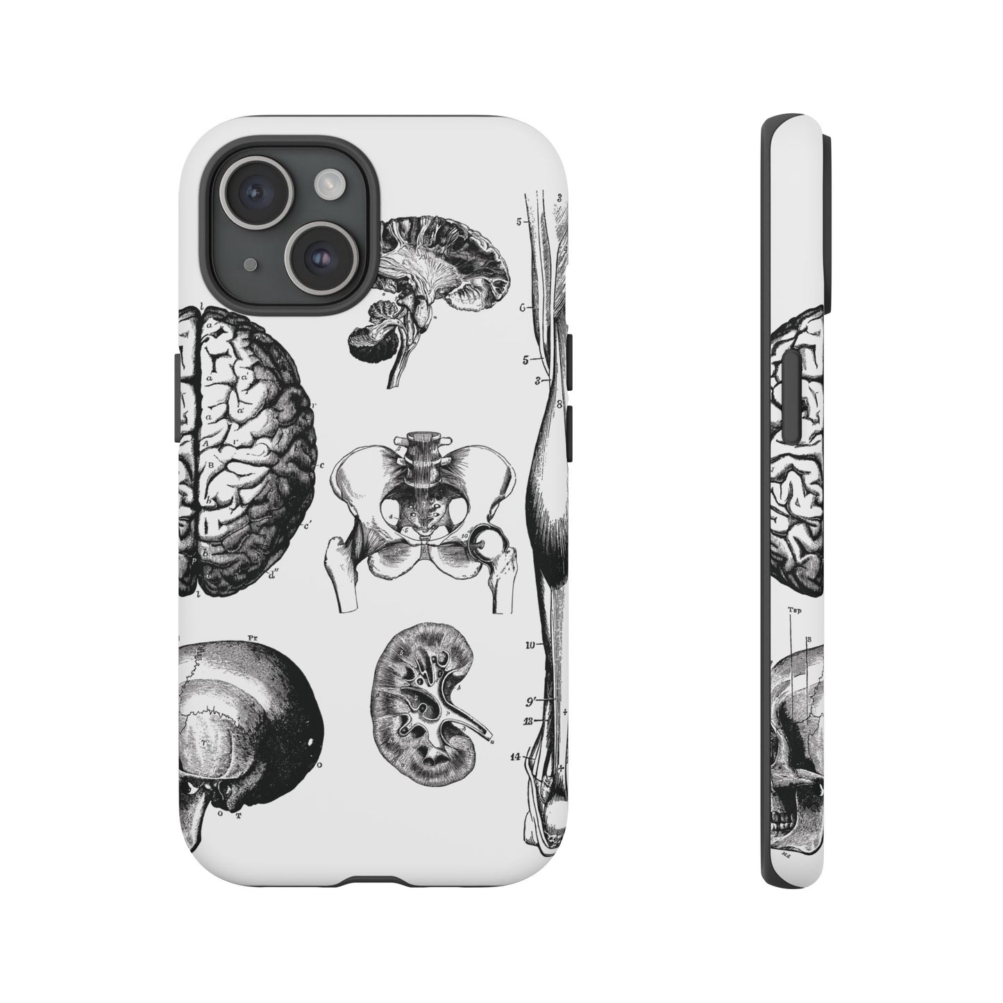 Vintage Anatomy Phone Case - Medical Sketch Design - Custom iPhone, Samsung & Pixel Cover - Science Gift - Doctor Aesthetic - Anatomy case