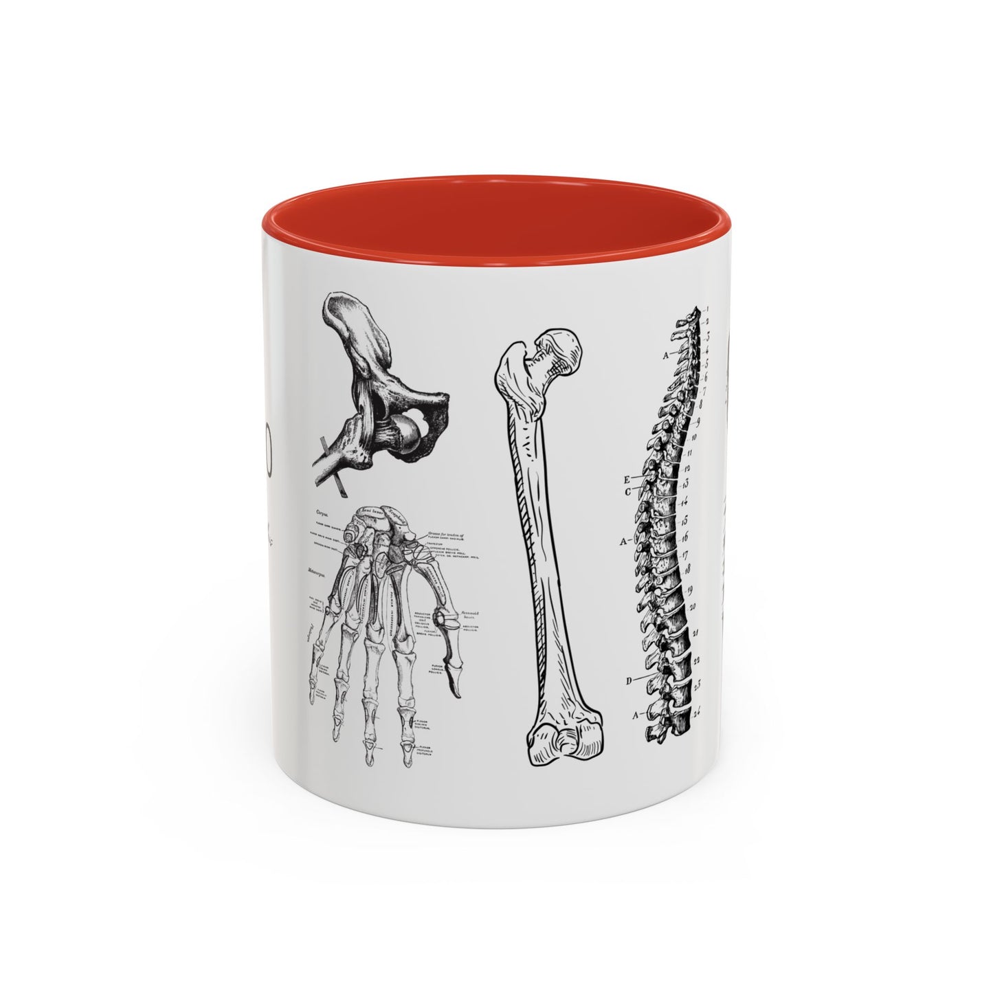 Orthopedic Surgery Mug, Bone Anatomy Coffee Cup, Orthopedist Gift Idea, Medical Anatomy Mug, Doctor Appreciation, Healthcare Worker Gift