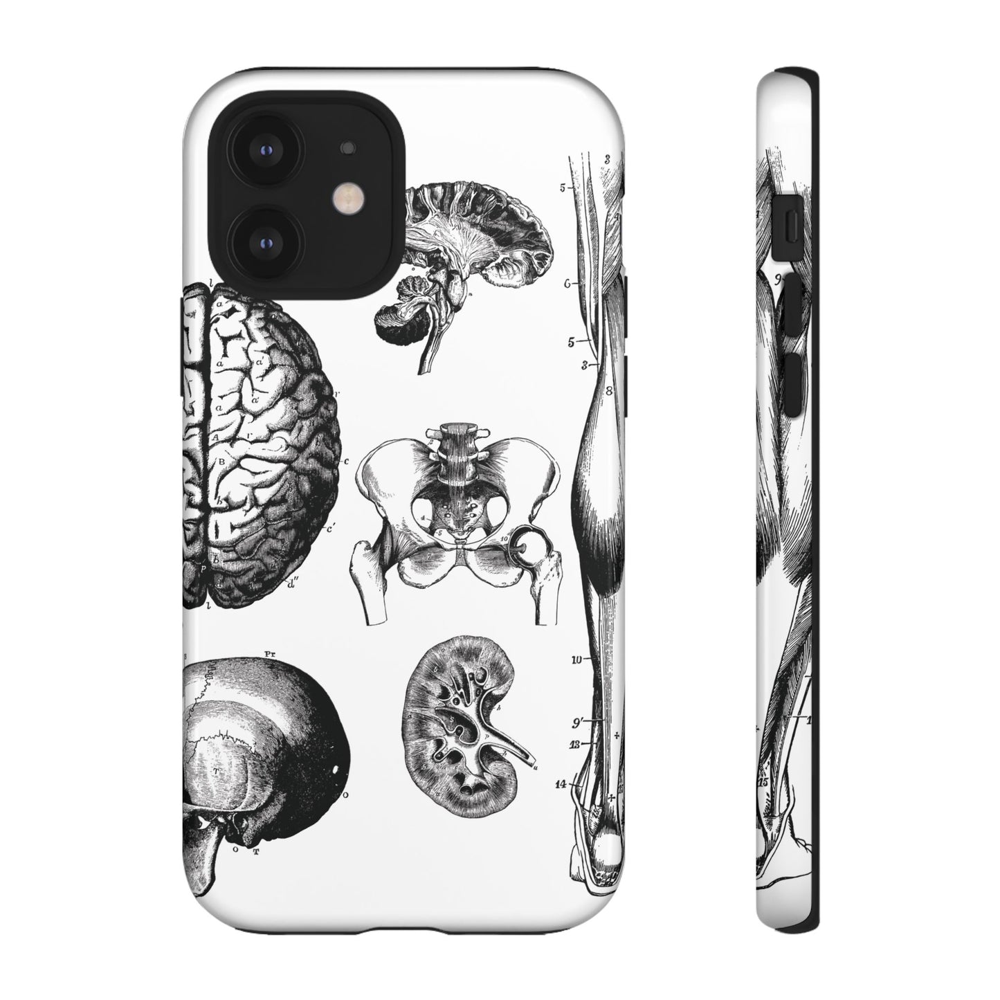 Vintage Anatomy Phone Case - Medical Sketch Design - Custom iPhone, Samsung & Pixel Cover - Science Gift - Doctor Aesthetic - Anatomy case