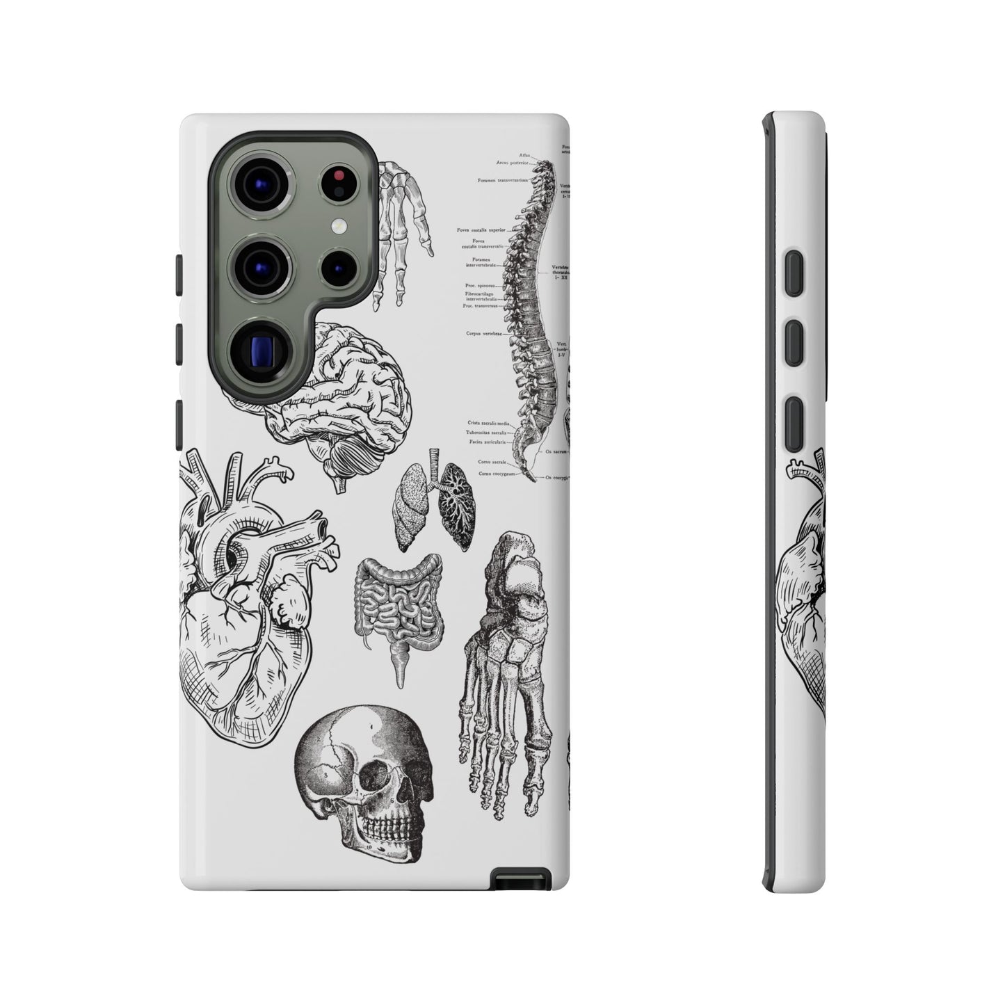 Anatomical Phone Case - Vintage Medical Illustration Case - Science Gift - Custom Medical Phone Cover - Custom Phone Cover - Medical Student