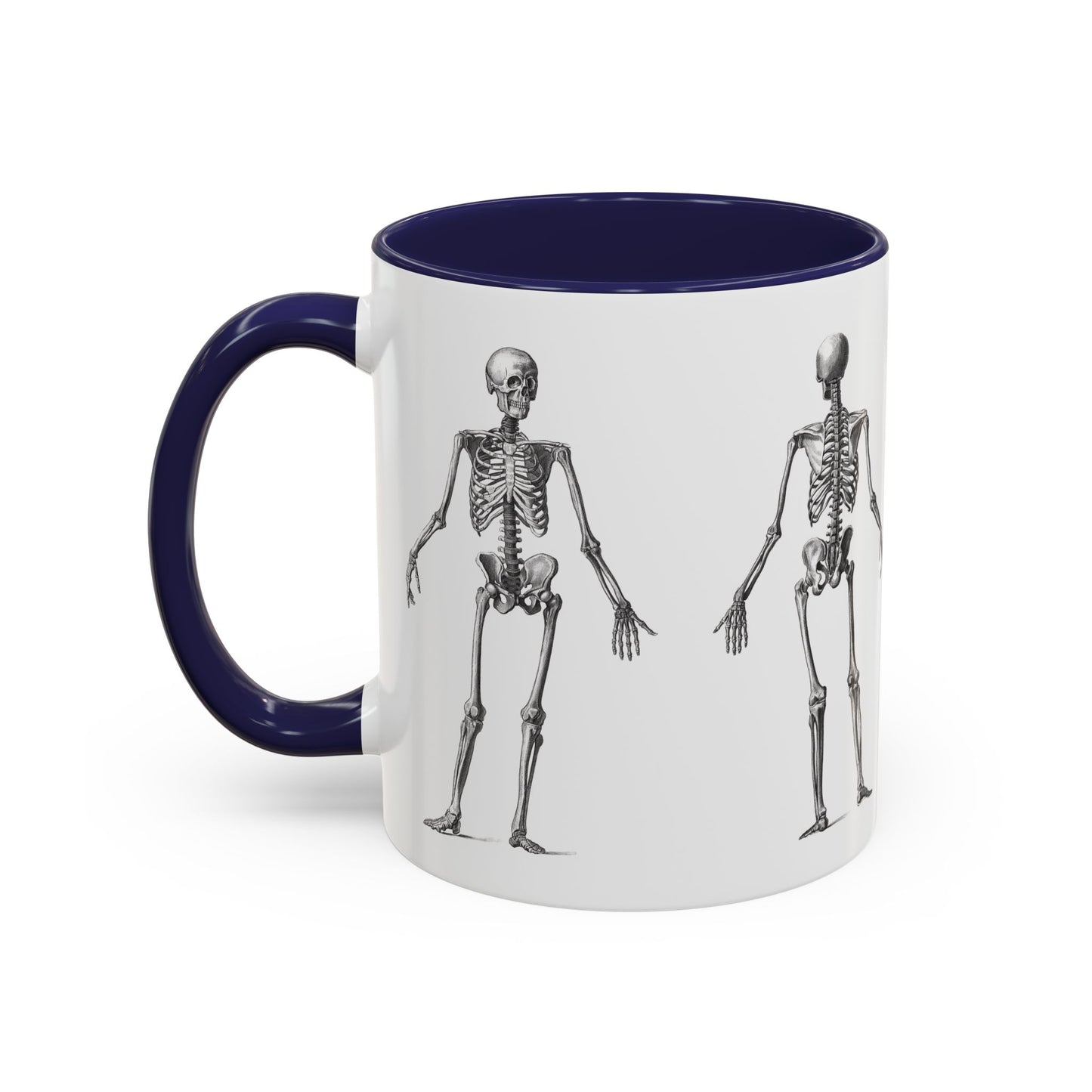 Anatomy Skeleton Accent Coffee Mug, Medical Student Doctor Nurse Gift, Anatomical Diagram, Halloween Mug, Biology Teacher Gift,