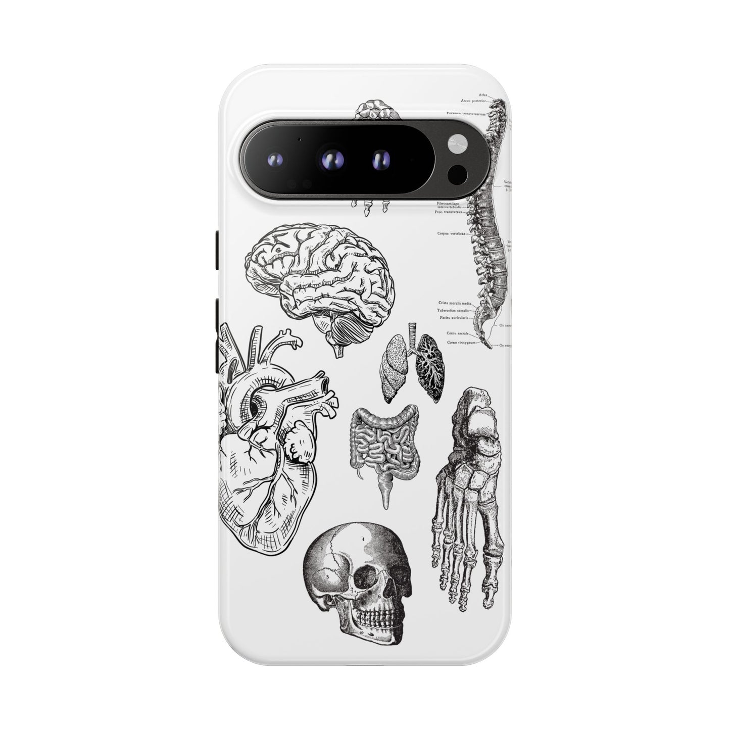 Anatomical Phone Case - Vintage Medical Illustration Case - Science Gift - Custom Medical Phone Cover - Custom Phone Cover - Medical Student