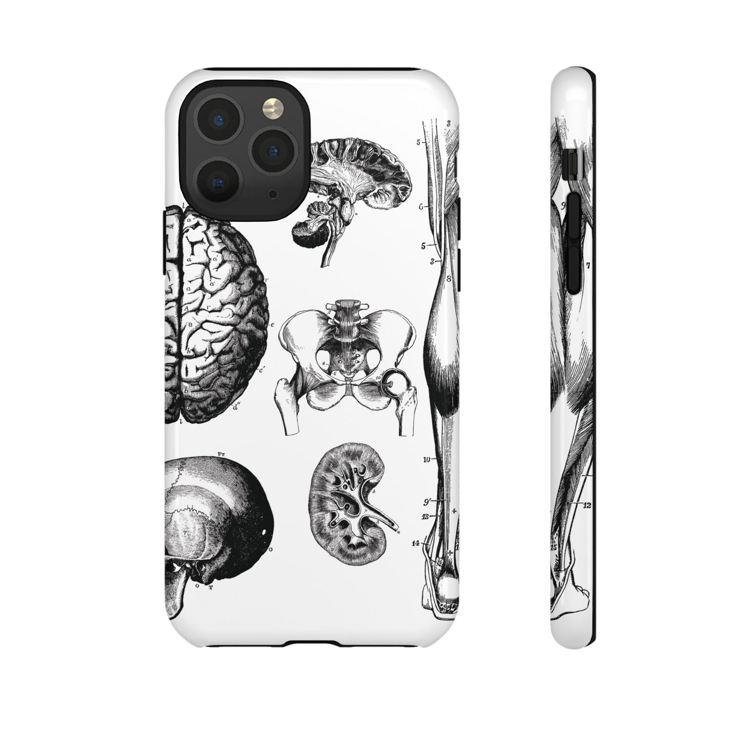 Vintage Anatomy Phone Case - Medical Sketch Design - Custom iPhone, Samsung & Pixel Cover - Science Gift - Doctor Aesthetic - Anatomy case