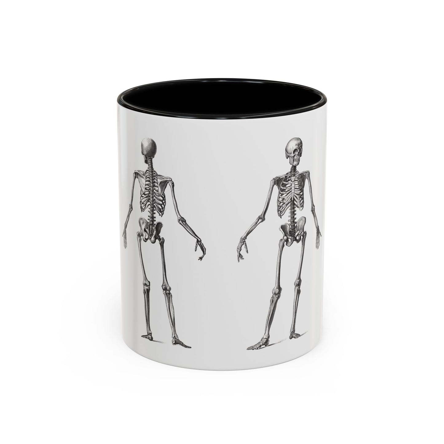 Anatomy Skeleton Accent Coffee Mug, Medical Student Doctor Nurse Gift, Anatomical Diagram, Halloween Mug, Biology Teacher Gift,