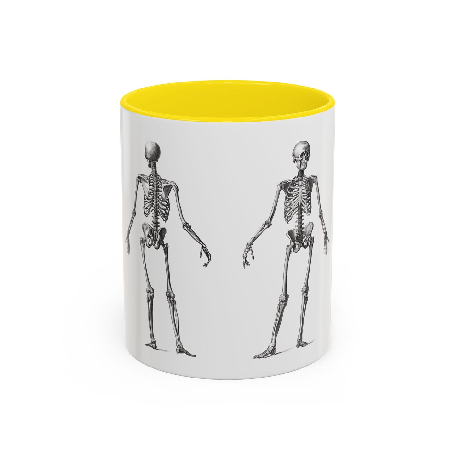 Anatomy Skeleton Accent Coffee Mug, Medical Student Doctor Nurse Gift, Anatomical Diagram, Halloween Mug, Biology Teacher Gift,