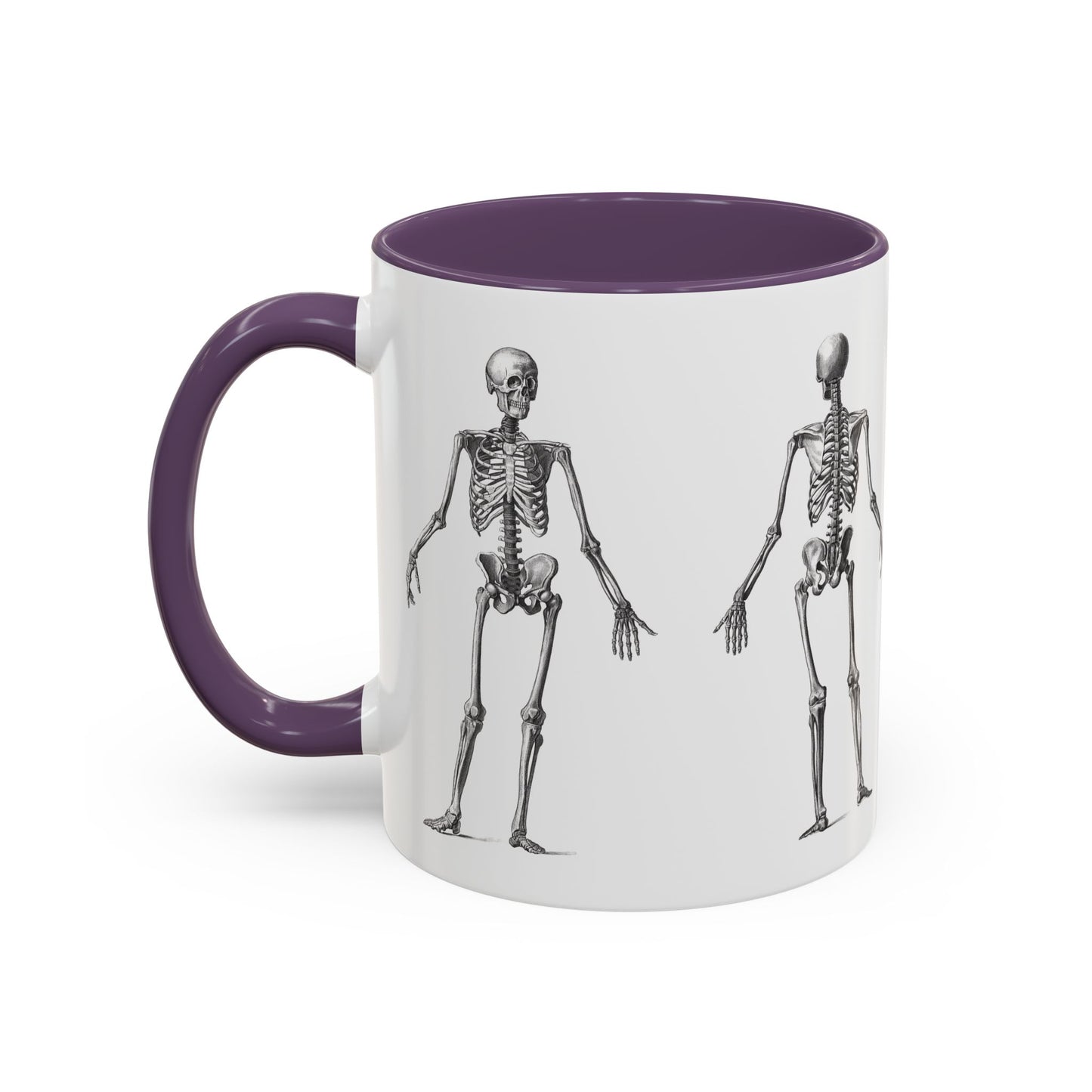 Anatomy Skeleton Accent Coffee Mug, Medical Student Doctor Nurse Gift, Anatomical Diagram, Halloween Mug, Biology Teacher Gift,