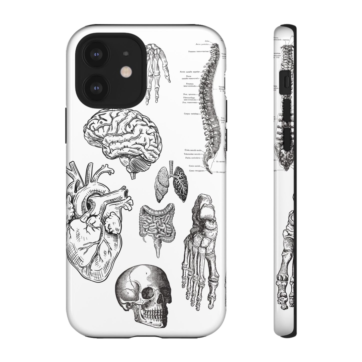 Anatomical Phone Case - Vintage Medical Illustration Case - Science Gift - Custom Medical Phone Cover - Custom Phone Cover - Medical Student