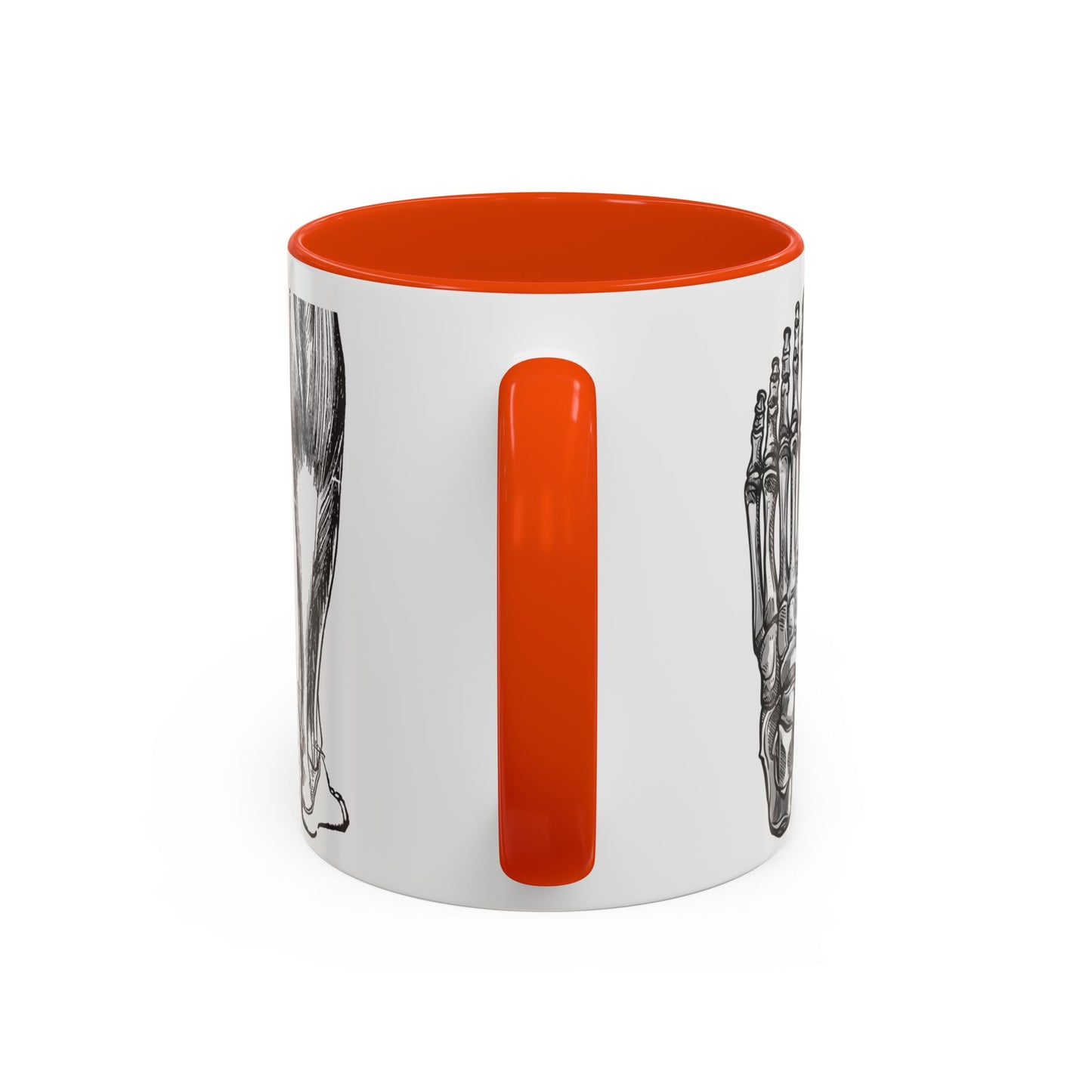 Taza Podología Pie Anatómico, Regalo Podólogo, Taza Anatomía Médica, Taza Doctor, Taza Estudiante Medicina, Personal Sanitario