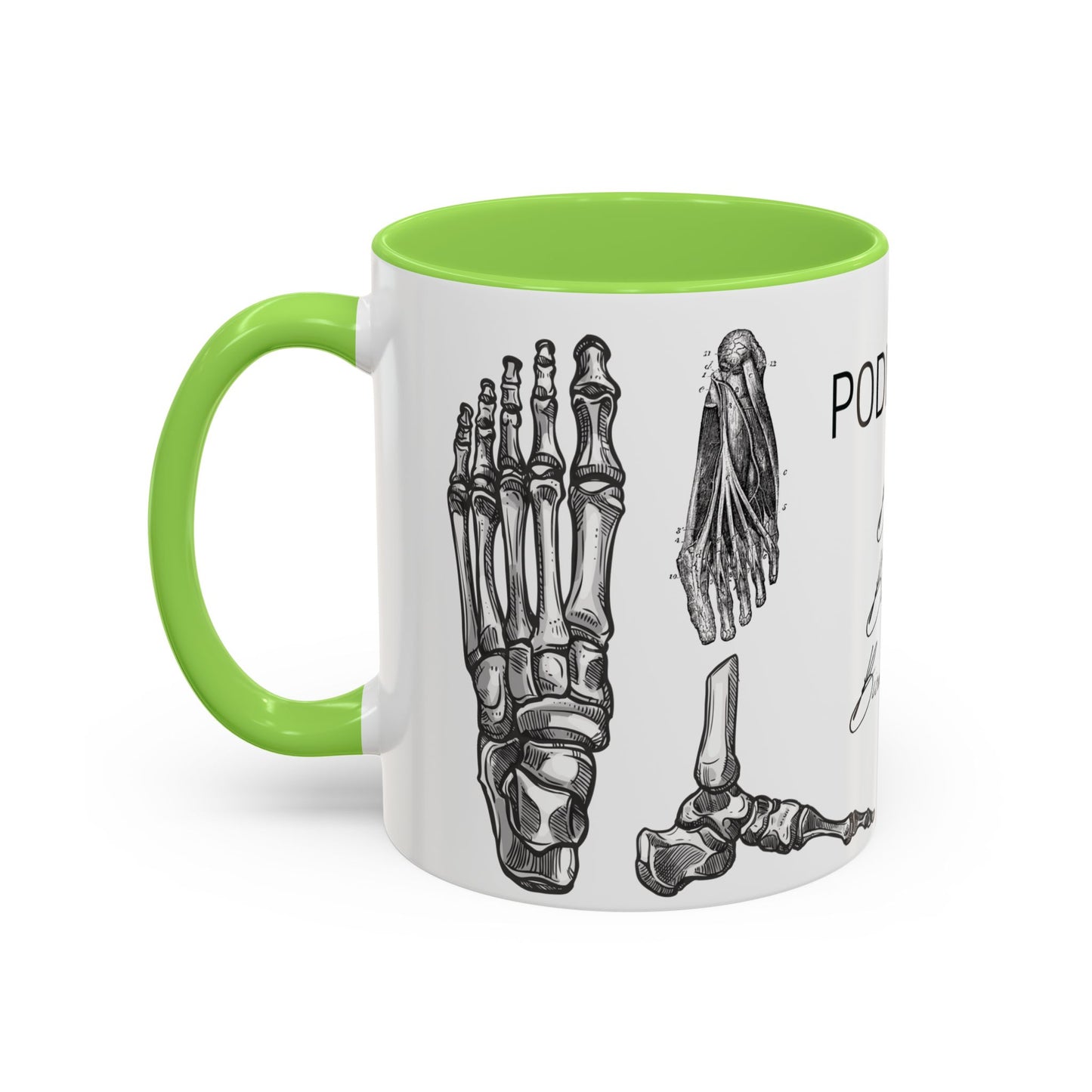 Taza Podología Pie Anatómico, Regalo Podólogo, Taza Anatomía Médica, Taza Doctor, Taza Estudiante Medicina, Personal Sanitario