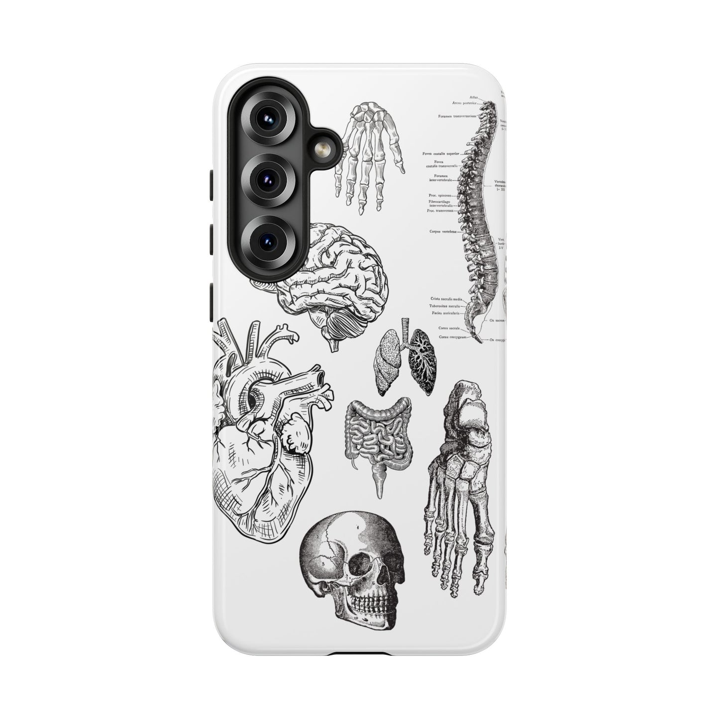 Anatomical Phone Case - Vintage Medical Illustration Case - Science Gift - Custom Medical Phone Cover - Custom Phone Cover - Medical Student