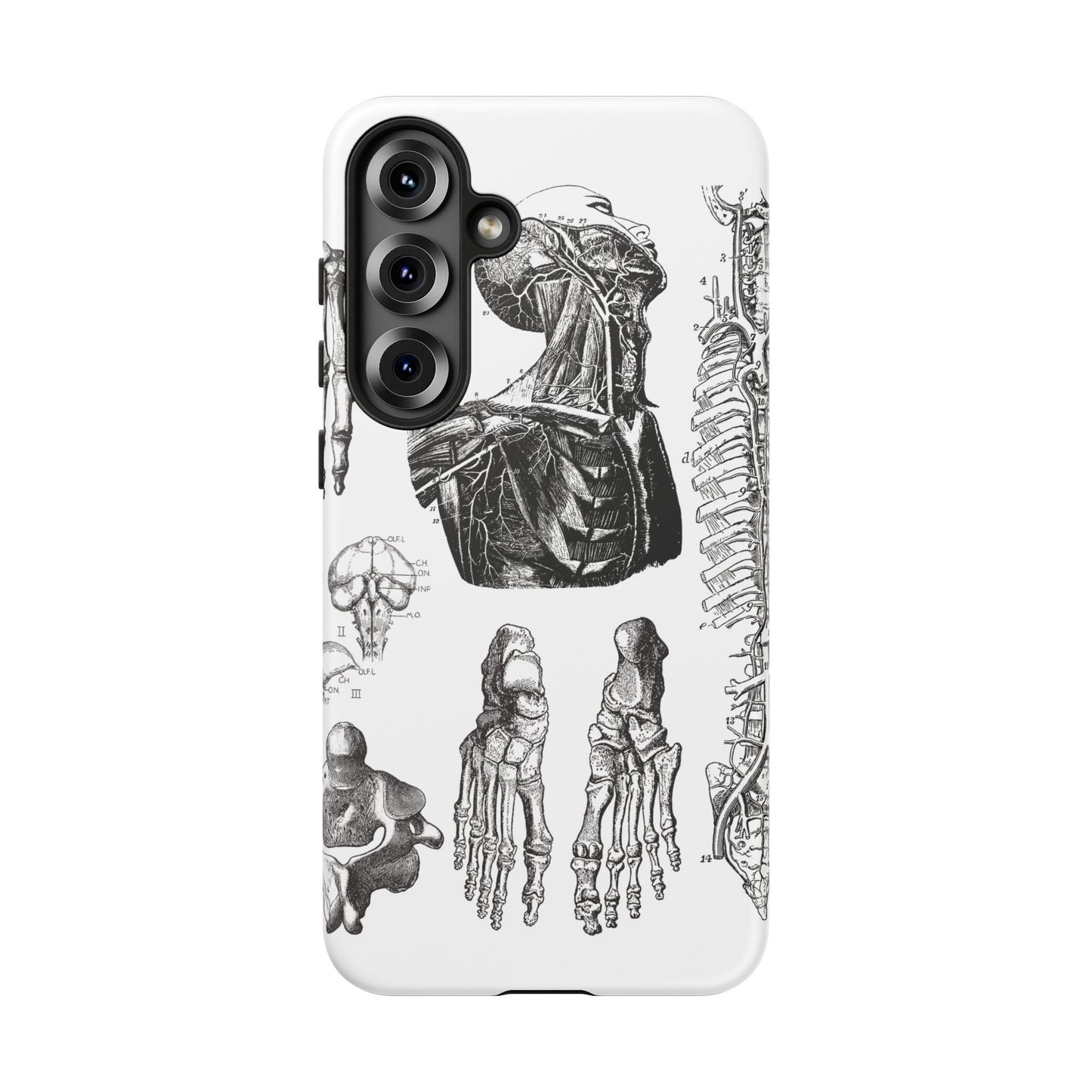 Vintage Anatomy Phone Case - Medical Illustration Design - Custom iPhone, Samsung & Pixel Cover - Science Gift - Doctor Aesthetic - Anatomy