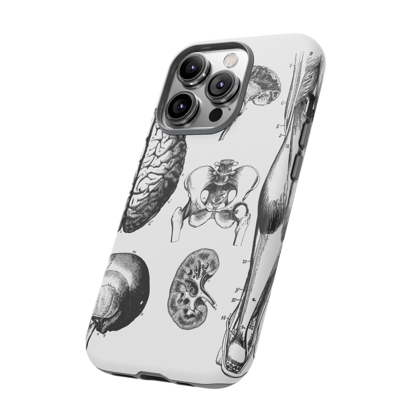 Vintage Anatomy Phone Case - Medical Sketch Design - Custom iPhone, Samsung & Pixel Cover - Science Gift - Doctor Aesthetic - Anatomy case