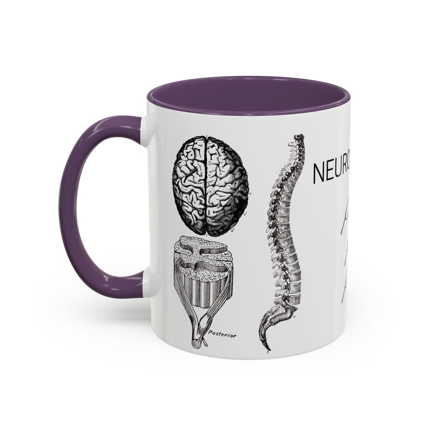Neuro-Spine Mug, Anatomical Spine Illustration Cup, Neurosurgeon Gift Idea, Spine Surgery Mug, Doctor Appreciation, Medical Worker Gift