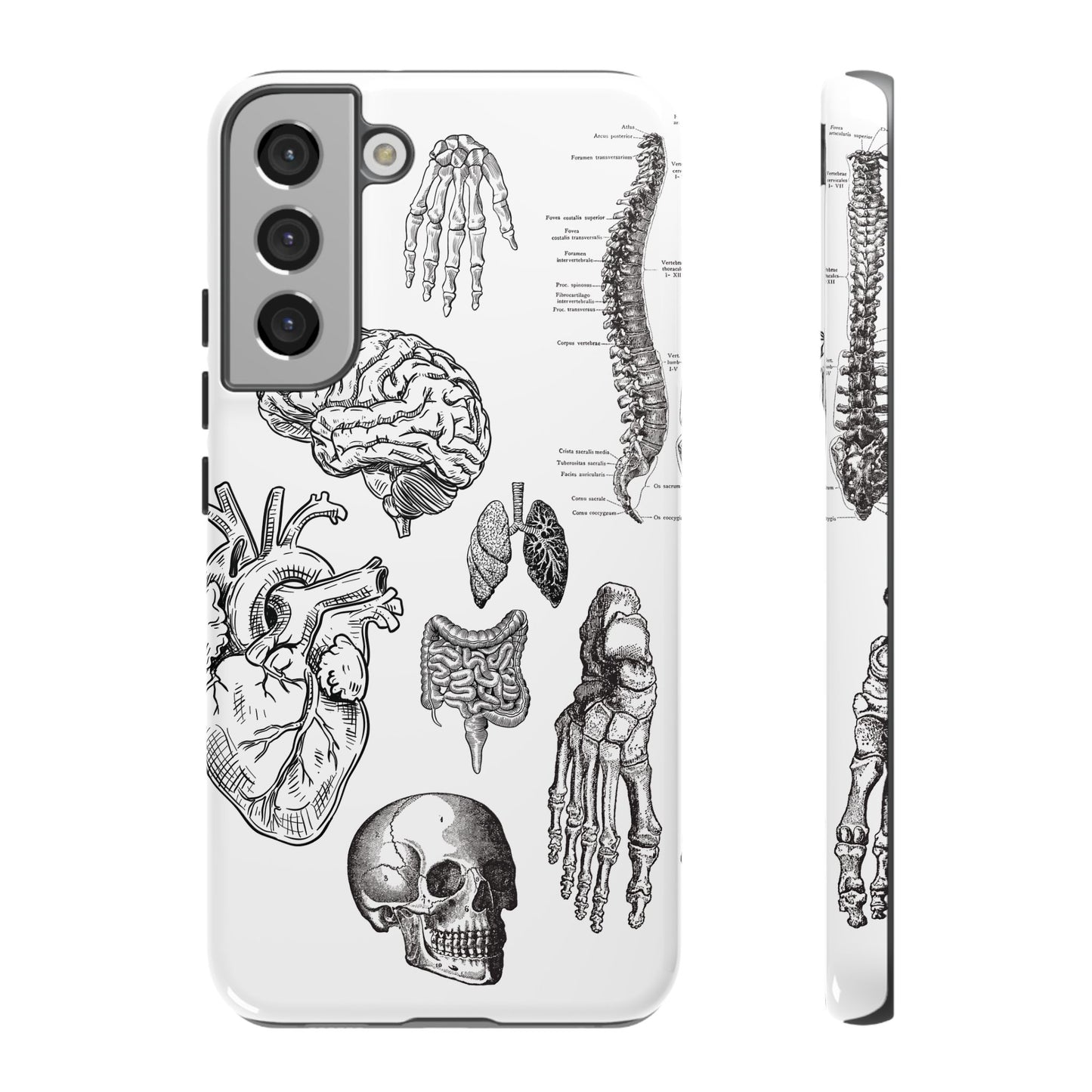 Anatomical Phone Case - Vintage Medical Illustration Case - Science Gift - Custom Medical Phone Cover - Custom Phone Cover - Medical Student
