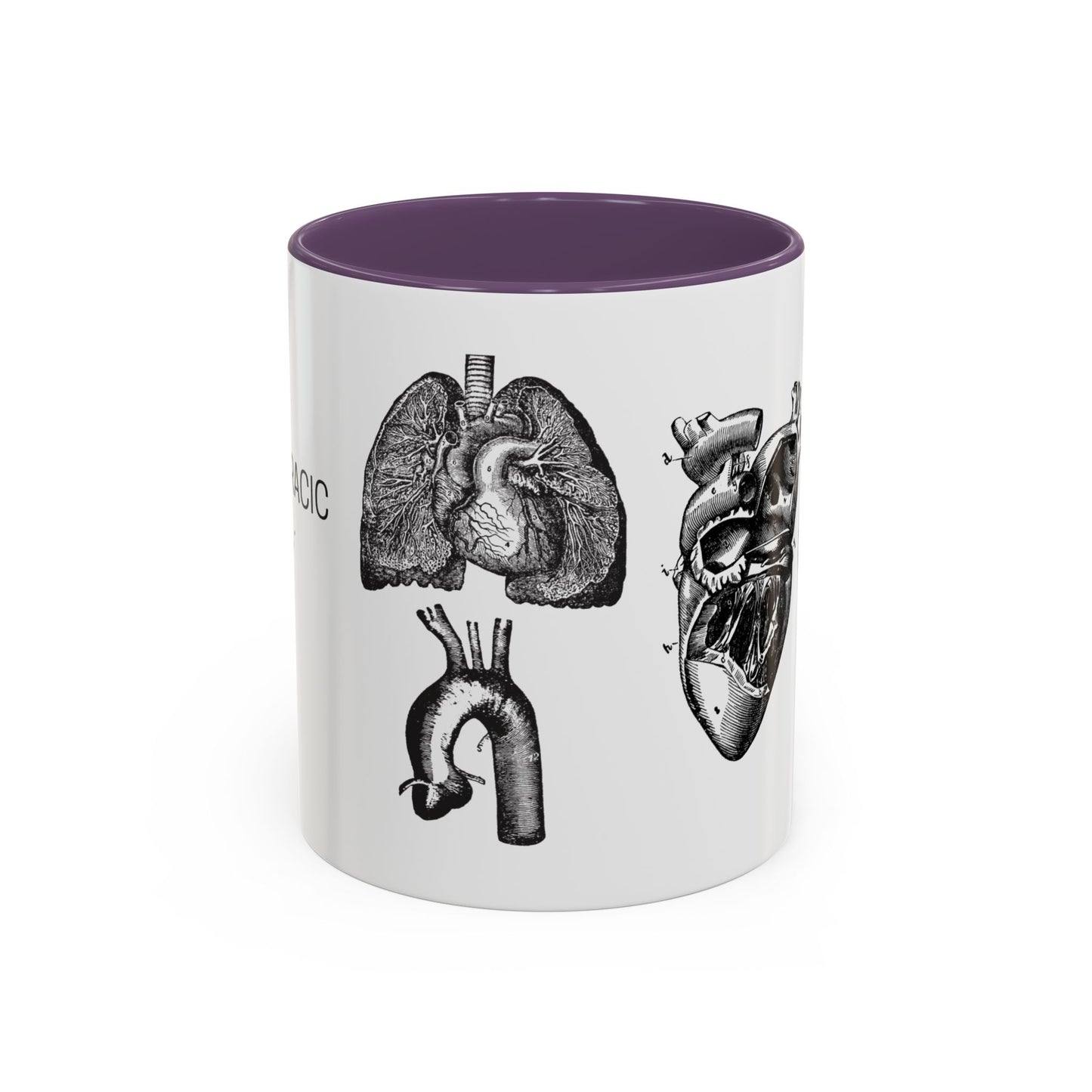 Cardiothoracic Surgery Mug, Heart and Lung Anatomy Cup, Surgeon Gift, Medical Anatomy Mug, Doctor Appreciation, Healthcare Worker Gift