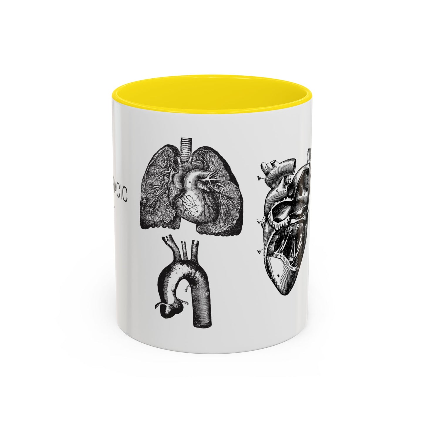 Cardiothoracic Surgery Mug, Heart and Lung Anatomy Cup, Surgeon Gift, Medical Anatomy Mug, Doctor Appreciation, Healthcare Worker Gift