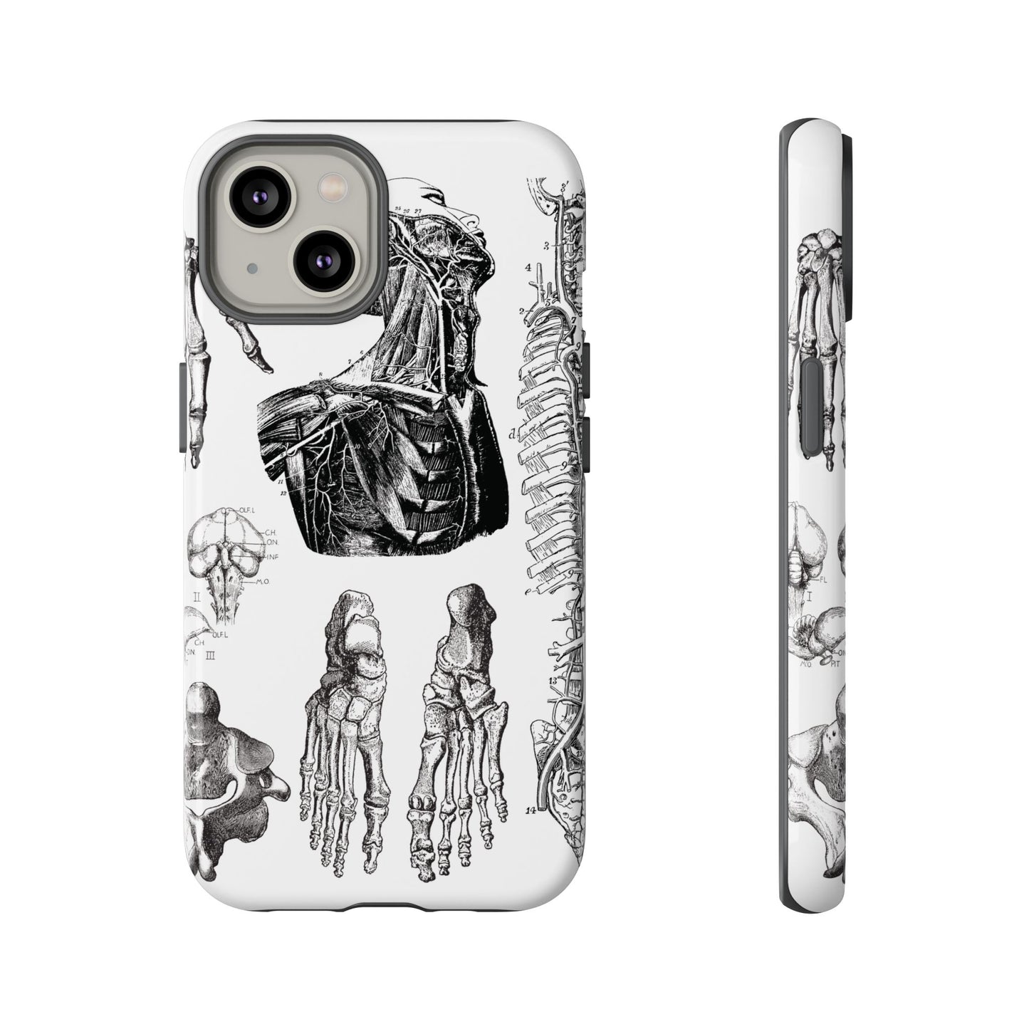 Vintage Anatomy Phone Case - Medical Illustration Design - Custom iPhone, Samsung & Pixel Cover - Science Gift - Doctor Aesthetic - Anatomy