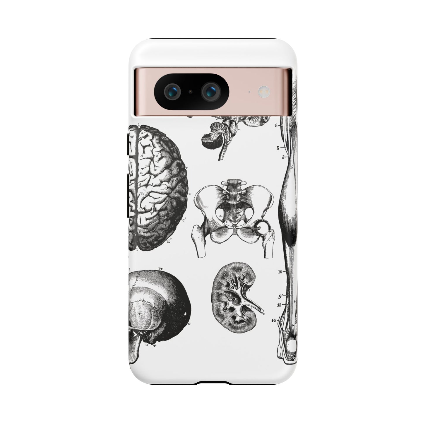 Vintage Anatomy Phone Case - Medical Sketch Design - Custom iPhone, Samsung & Pixel Cover - Science Gift - Doctor Aesthetic - Anatomy case
