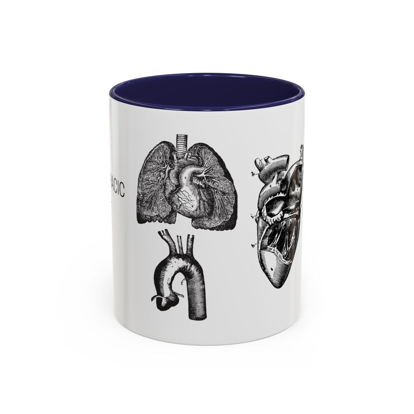 Cardiothoracic Surgery Mug, Heart and Lung Anatomy Cup, Surgeon Gift, Medical Anatomy Mug, Doctor Appreciation, Healthcare Worker Gift