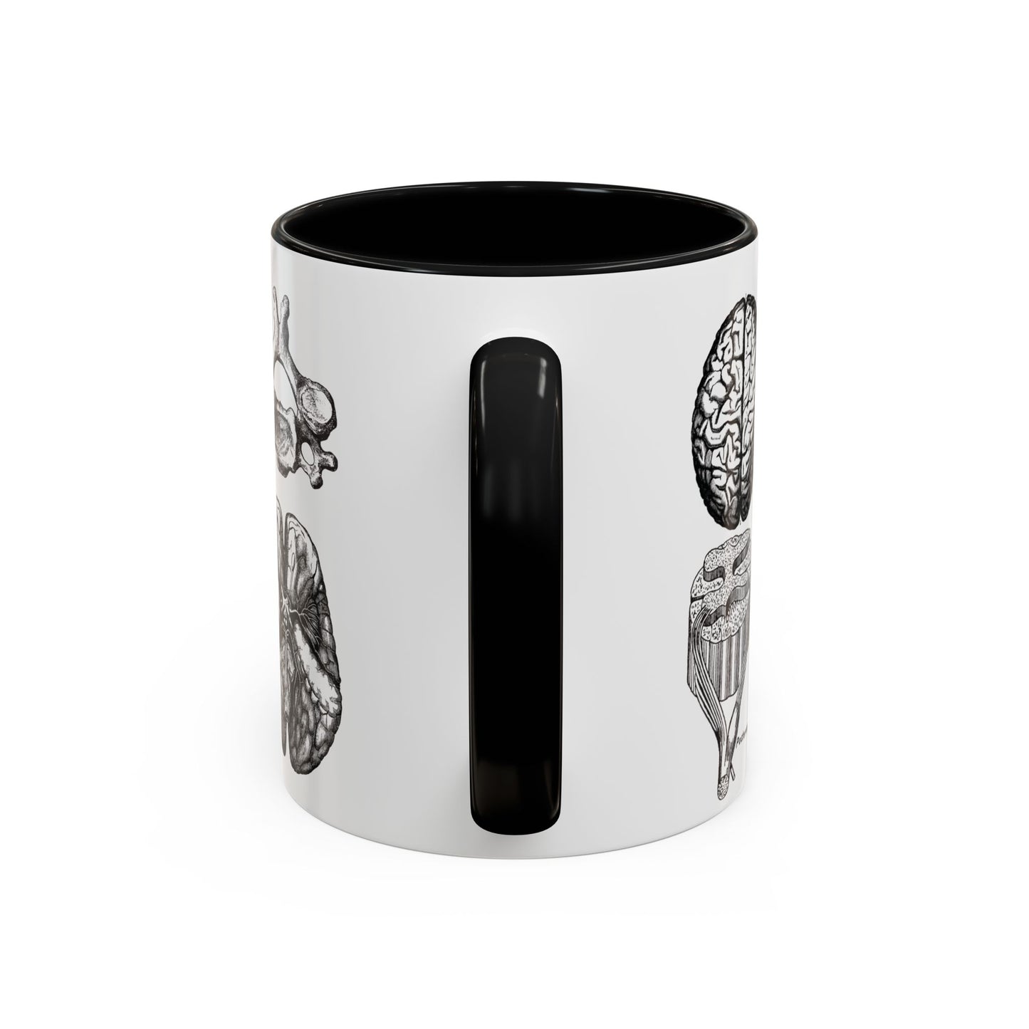 Neuro-Spine Mug, Anatomical Spine Illustration Cup, Neurosurgeon Gift Idea, Spine Surgery Mug, Doctor Appreciation, Medical Worker Gift