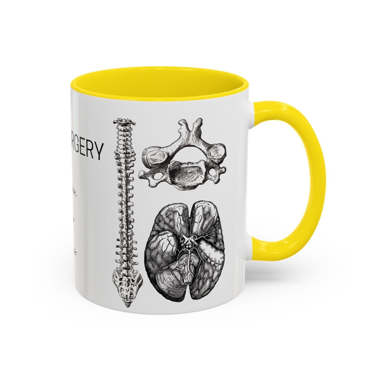 Neuro-Spine Mug, Anatomical Spine Illustration Cup, Neurosurgeon Gift Idea, Spine Surgery Mug, Doctor Appreciation, Medical Worker Gift
