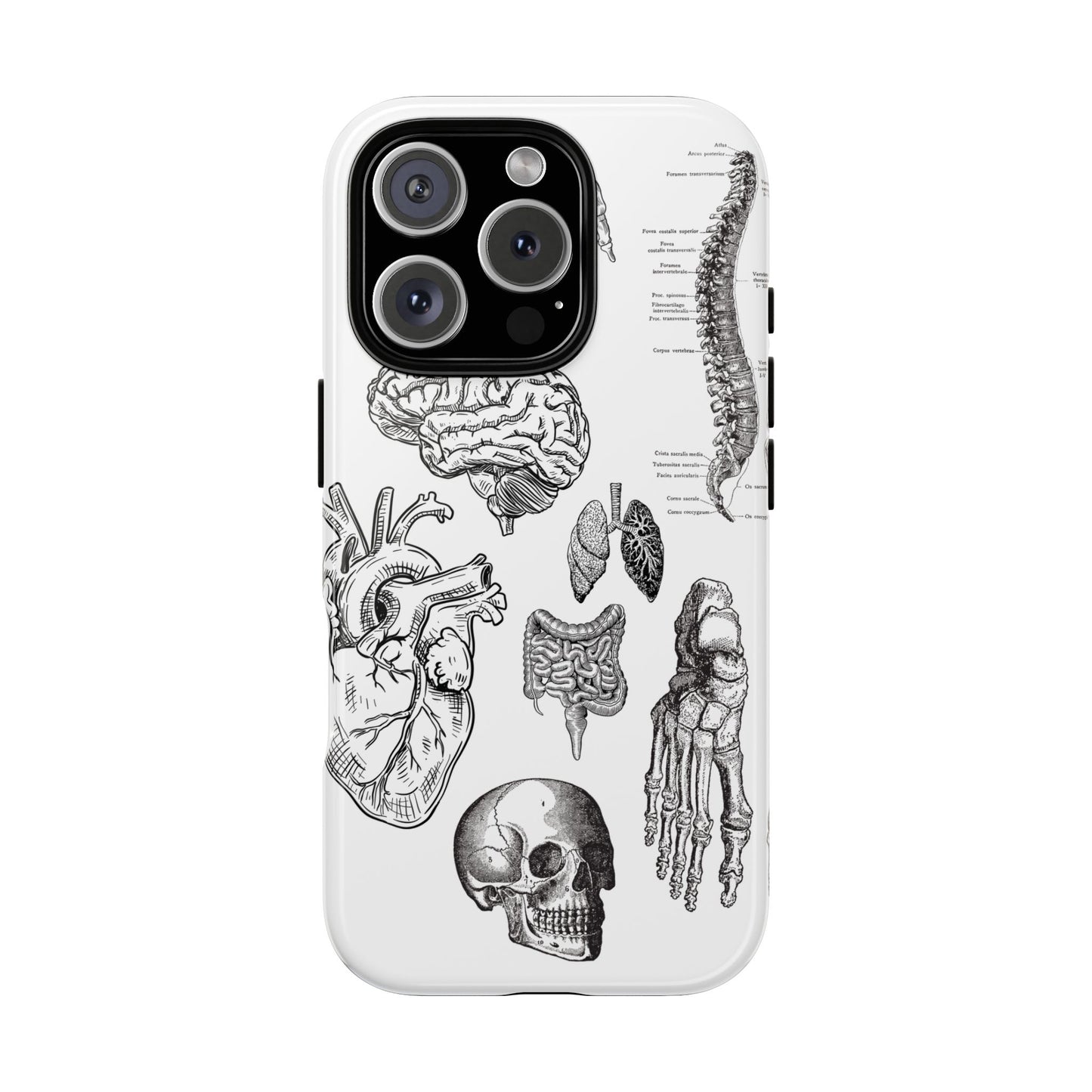 Anatomical Phone Case - Vintage Medical Illustration Case - Science Gift - Custom Medical Phone Cover - Custom Phone Cover - Medical Student