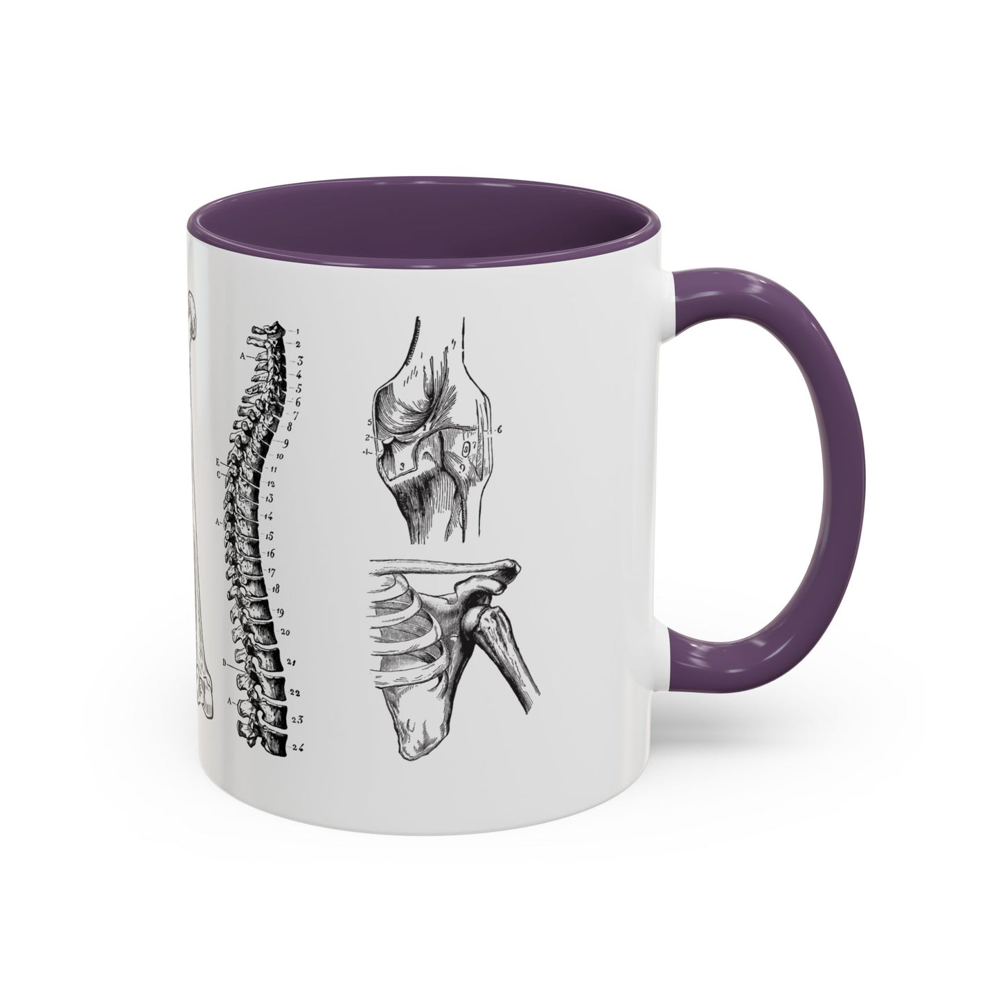 Orthopedic Surgery Mug, Bone Anatomy Coffee Cup, Orthopedist Gift Idea, Medical Anatomy Mug, Doctor Appreciation, Healthcare Worker Gift