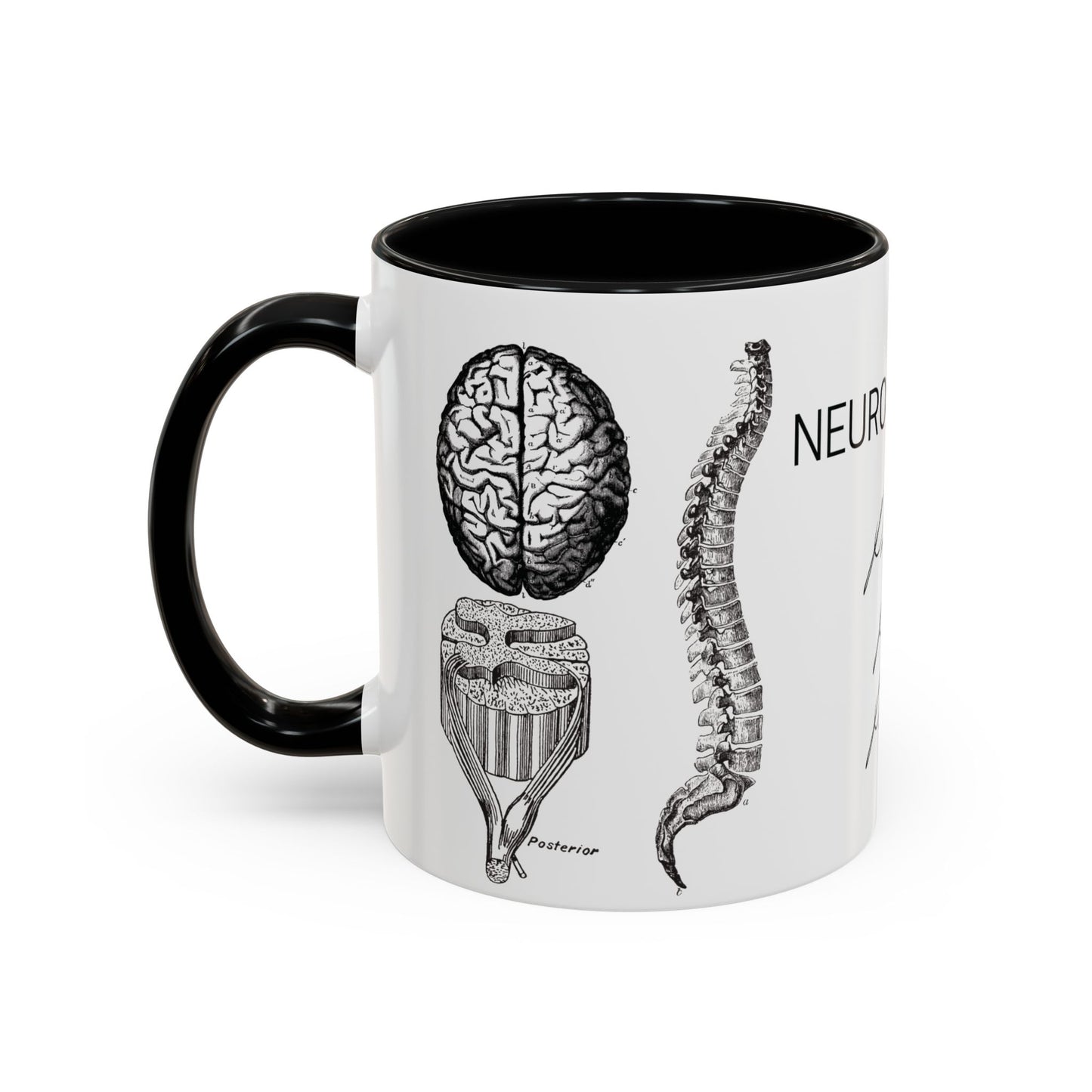 Neuro-Spine Mug, Anatomical Spine Illustration Cup, Neurosurgeon Gift Idea, Spine Surgery Mug, Doctor Appreciation, Medical Worker Gift