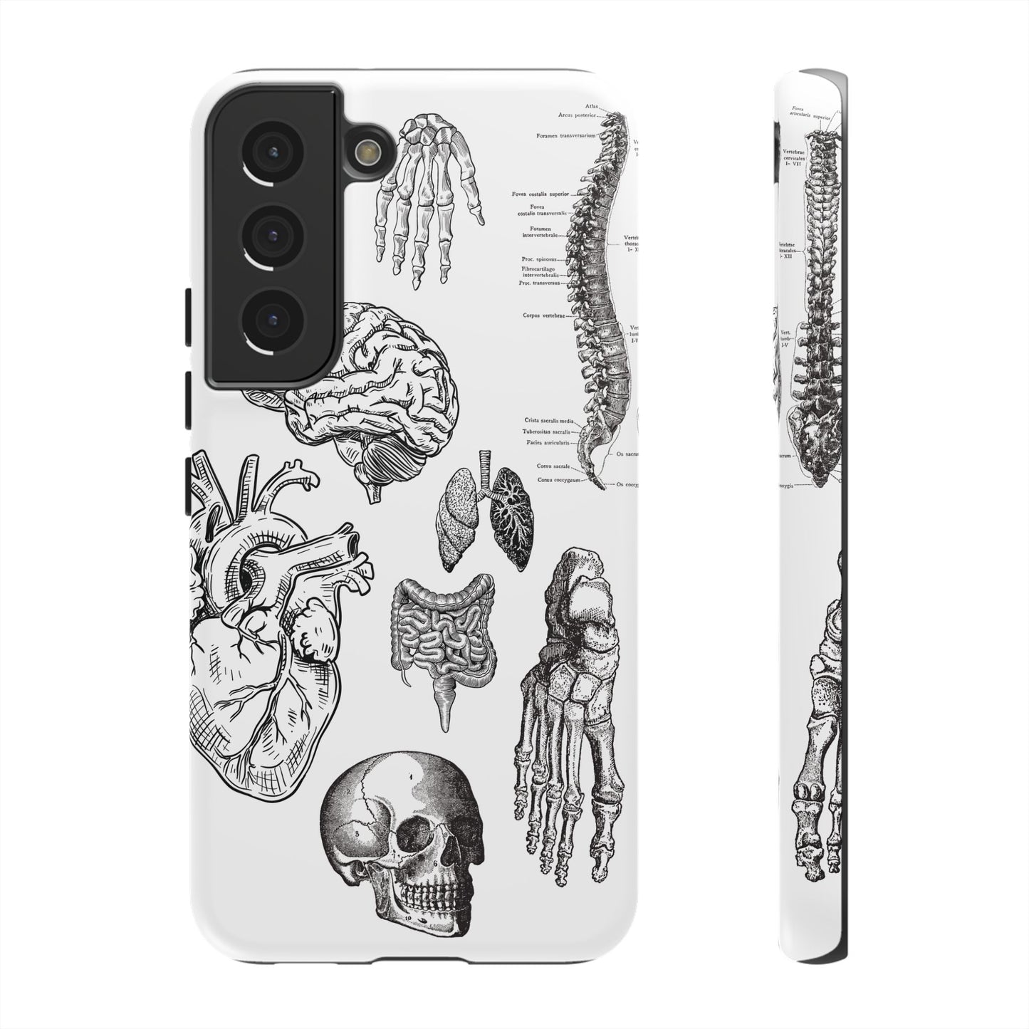Anatomical Phone Case - Vintage Medical Illustration Case - Science Gift - Custom Medical Phone Cover - Custom Phone Cover - Medical Student