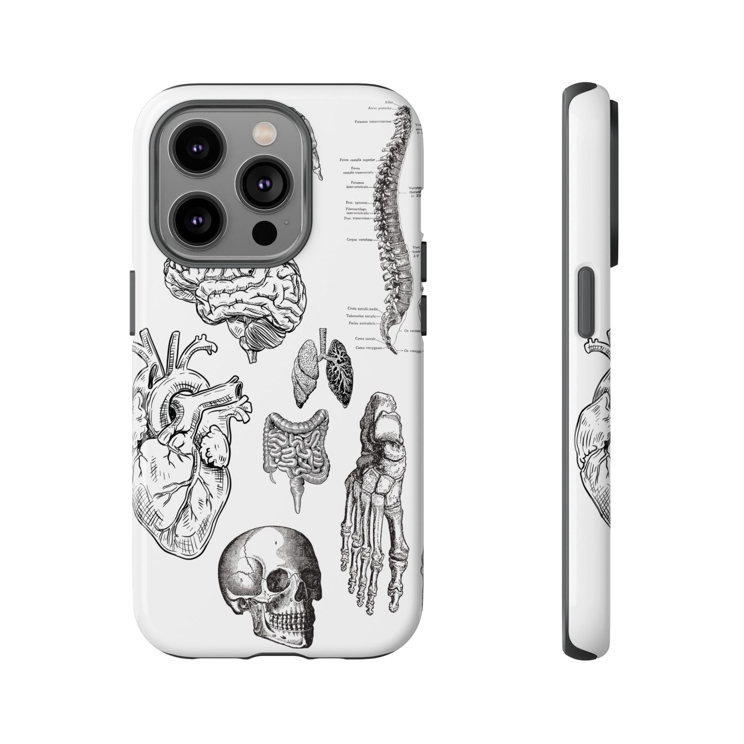 Anatomical Phone Case - Vintage Medical Illustration Case - Science Gift - Custom Medical Phone Cover - Custom Phone Cover - Medical Student