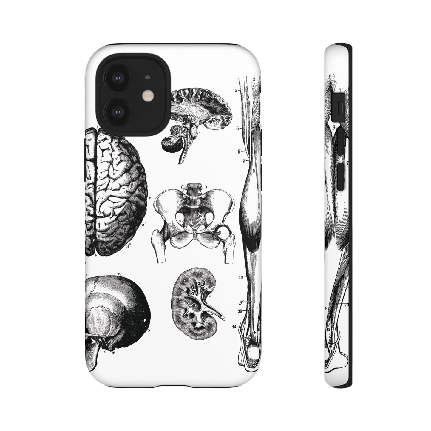 Vintage Anatomy Phone Case - Medical Sketch Design - Custom iPhone, Samsung & Pixel Cover - Science Gift - Doctor Aesthetic - Anatomy case