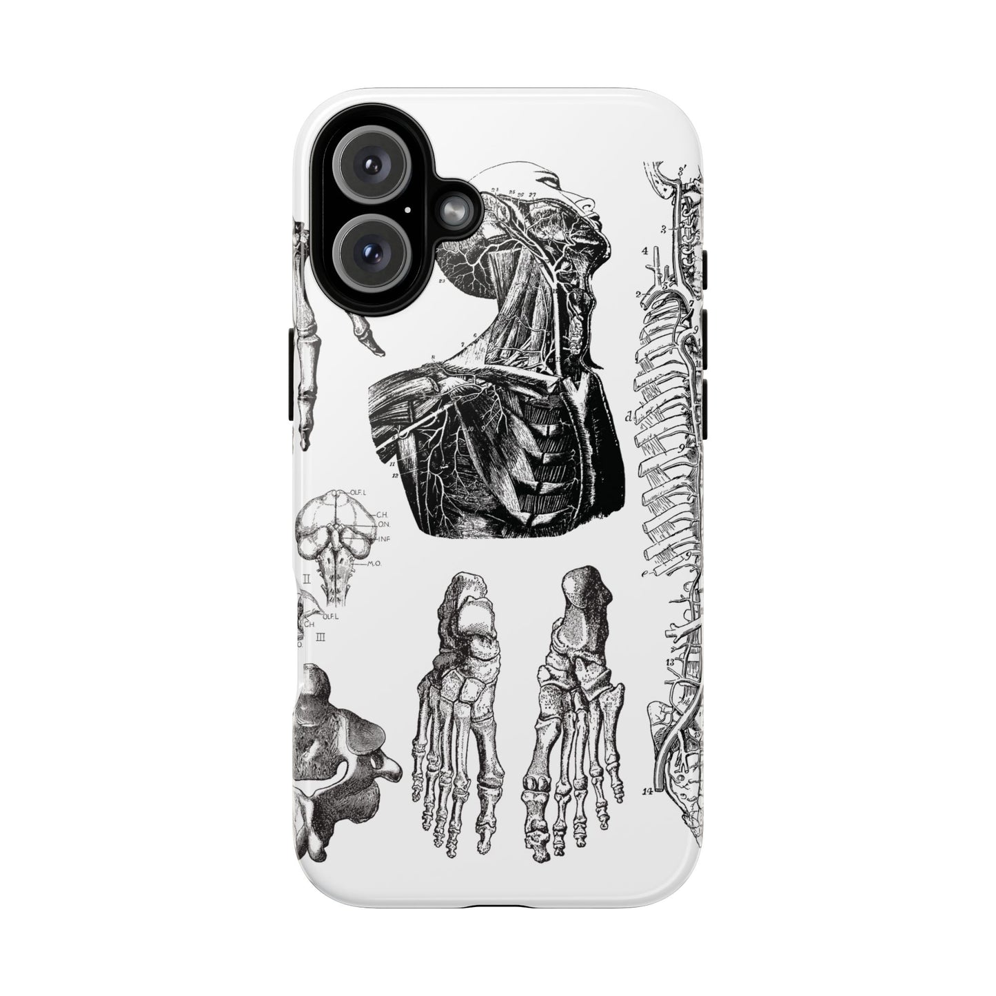 Vintage Anatomy Phone Case - Medical Illustration Design - Custom iPhone, Samsung & Pixel Cover - Science Gift - Doctor Aesthetic - Anatomy