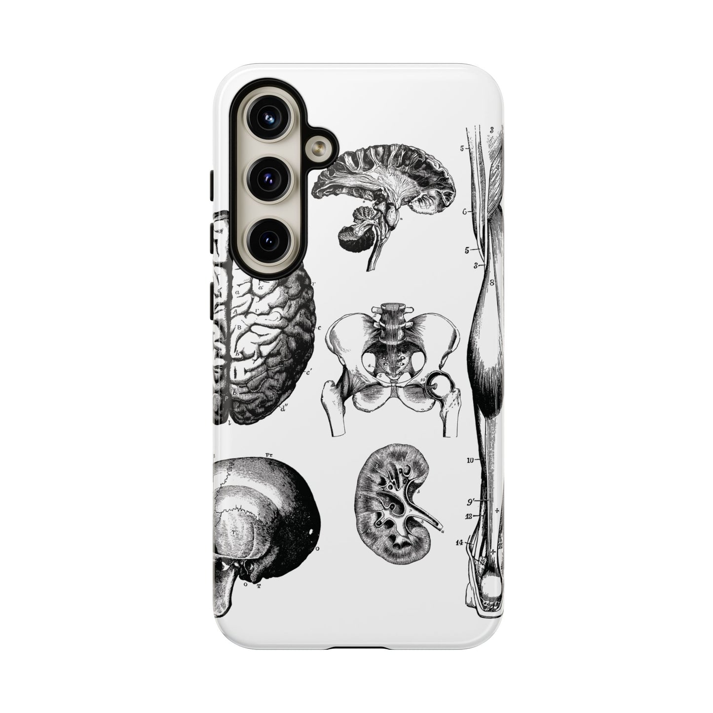 Vintage Anatomy Phone Case - Medical Sketch Design - Custom iPhone, Samsung & Pixel Cover - Science Gift - Doctor Aesthetic - Anatomy case